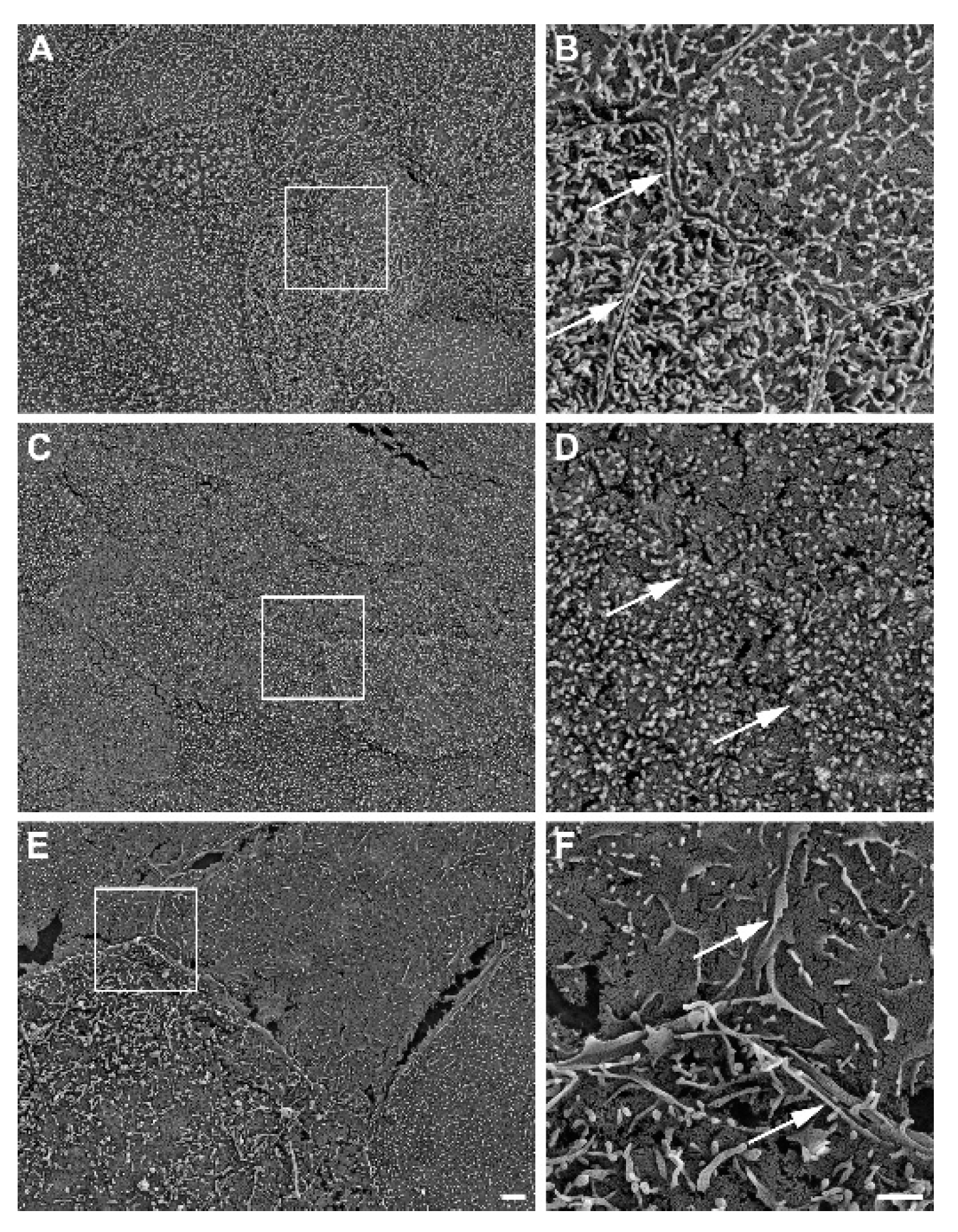 Preprints 83594 g002