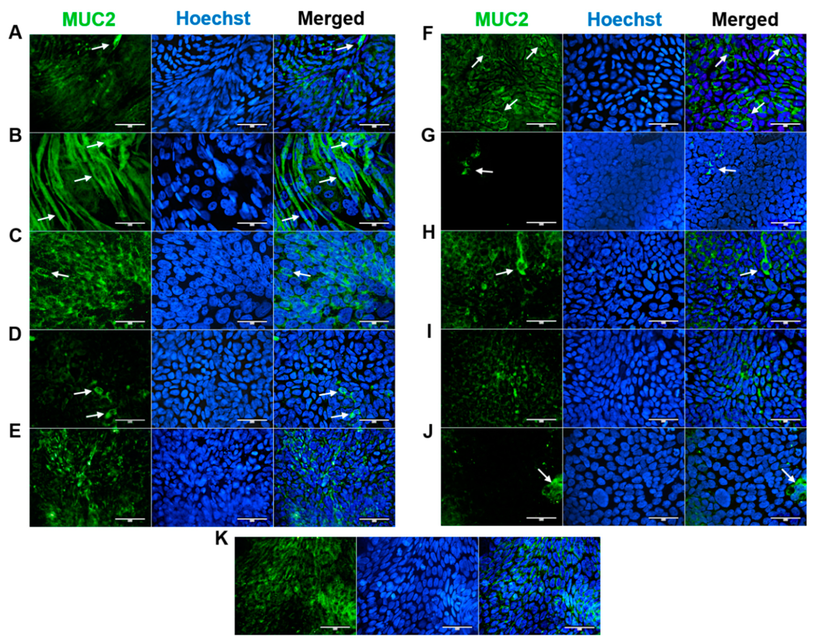 Preprints 83594 g003