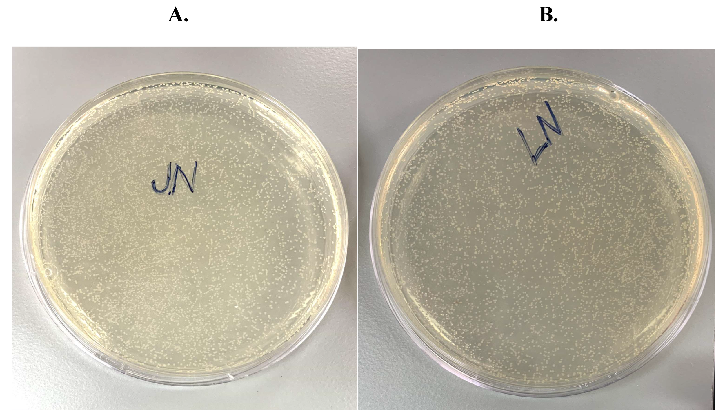 Preprints 116472 g002