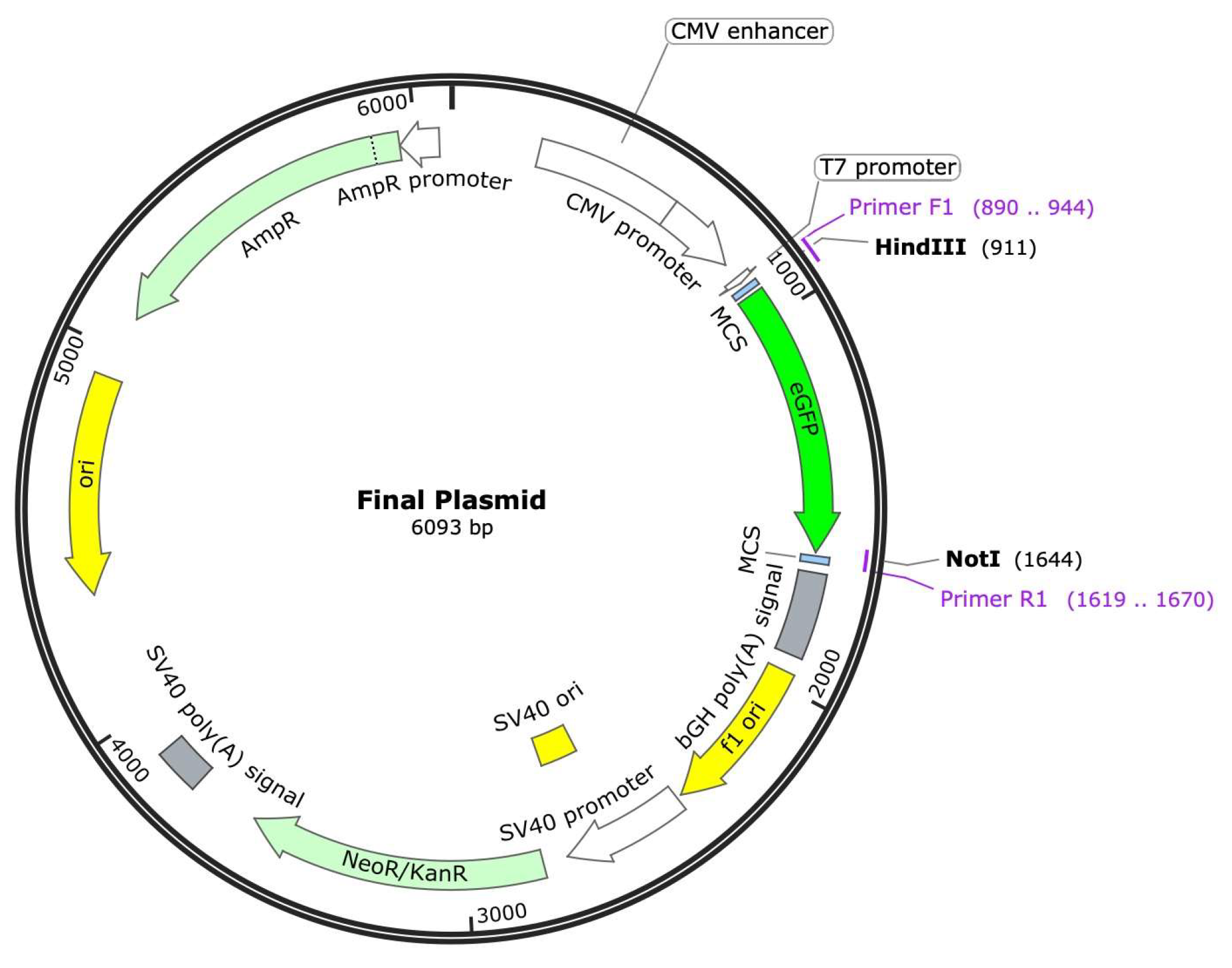 Preprints 116472 g003