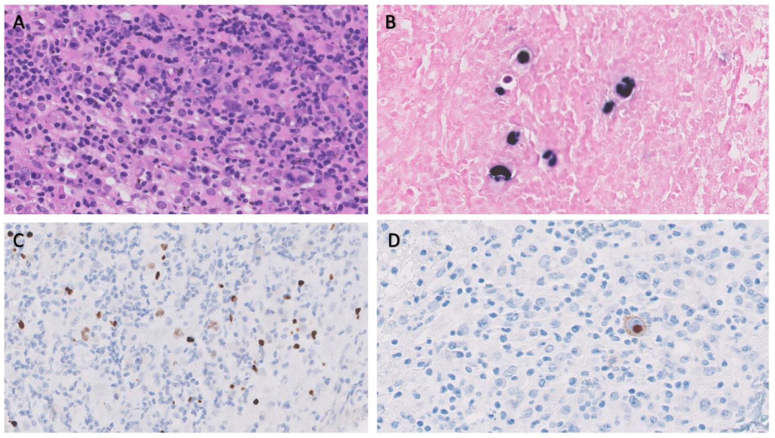 Preprints 76499 g001