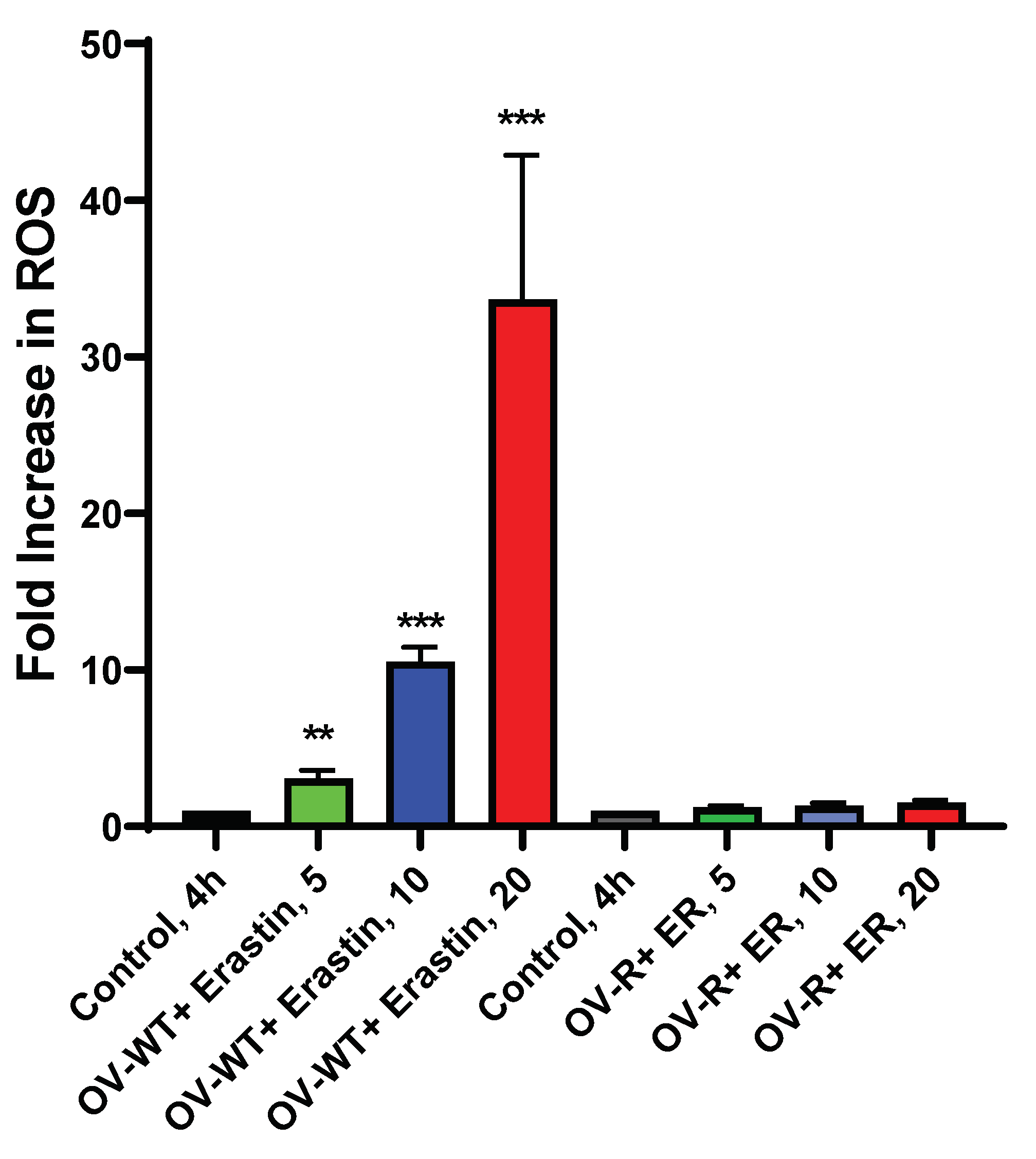 Preprints 100038 g005