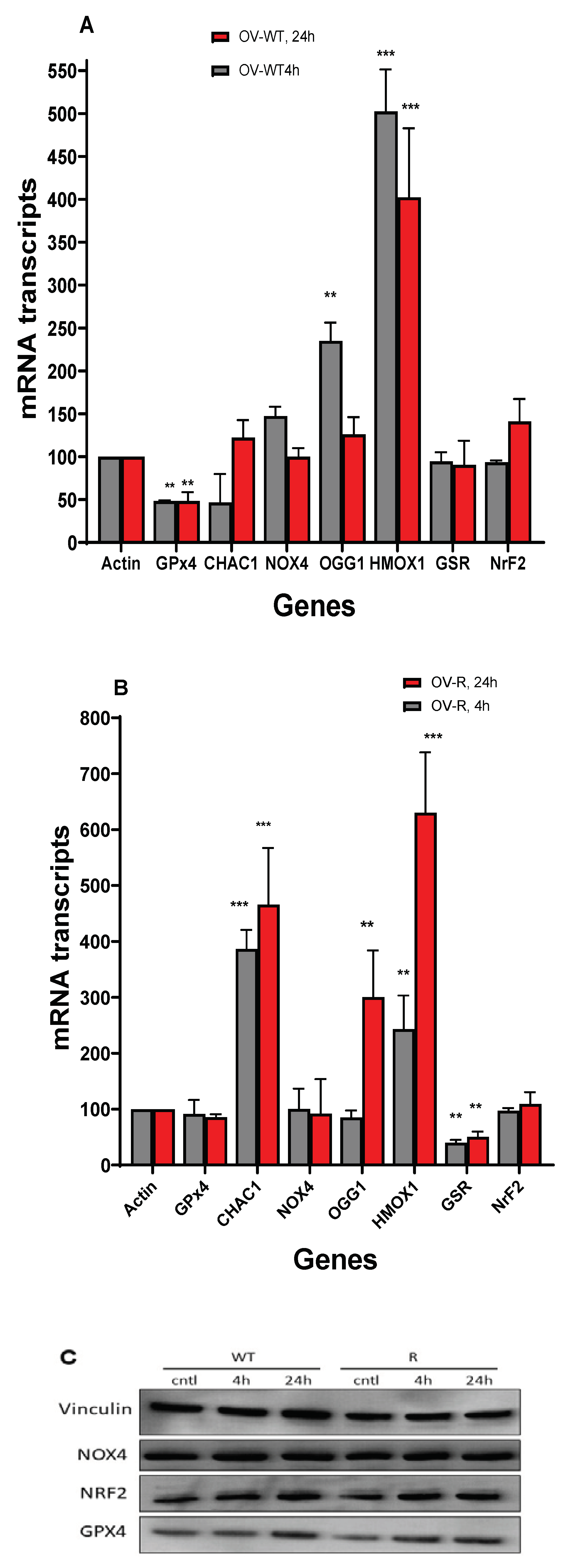 Preprints 100038 g008