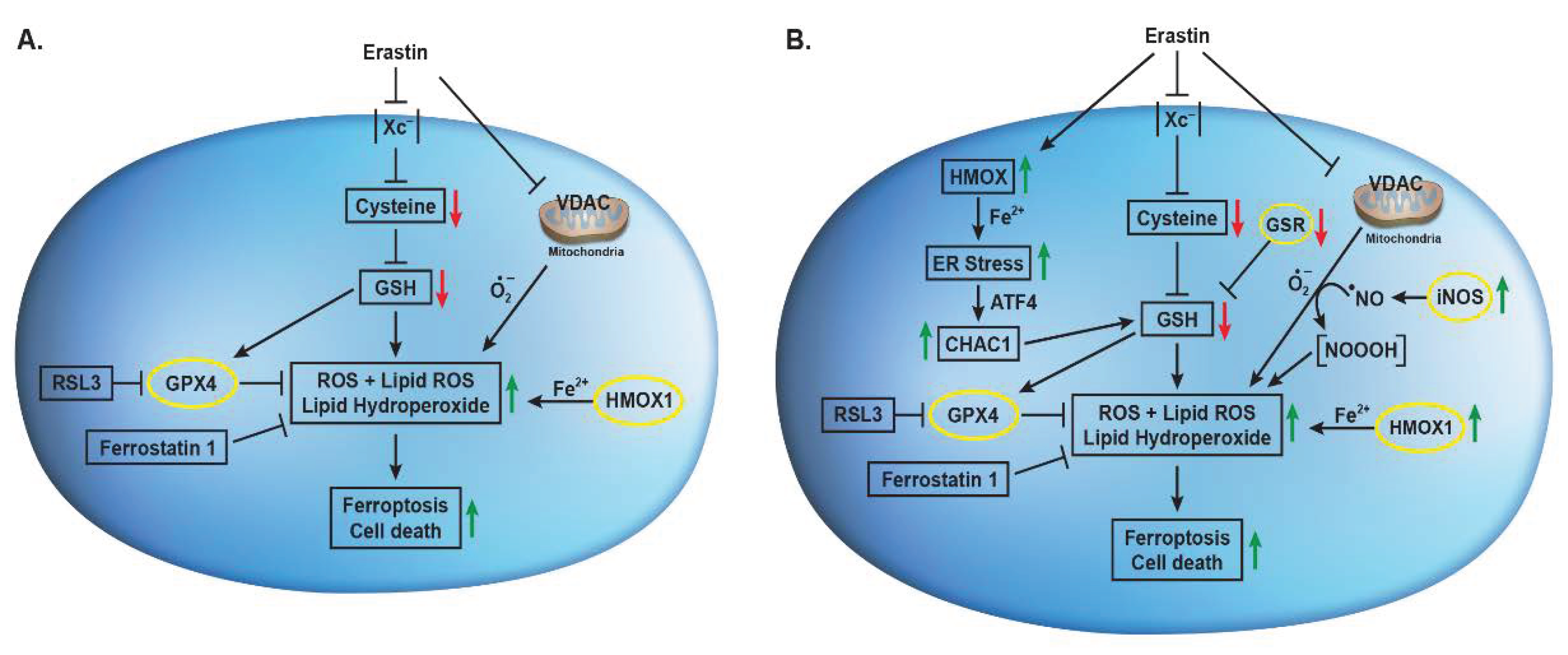 Preprints 100038 g009