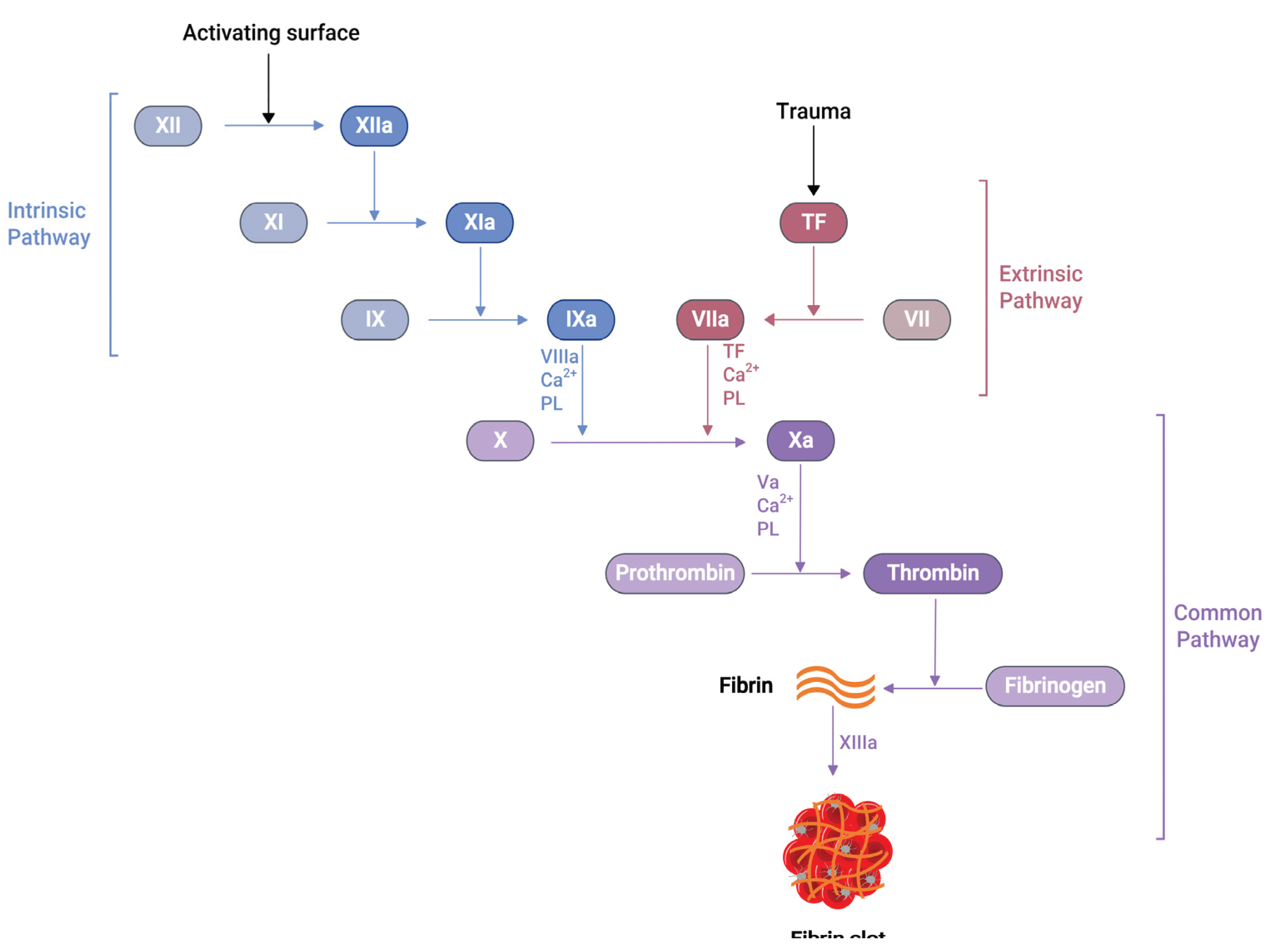 Preprints 99673 g001