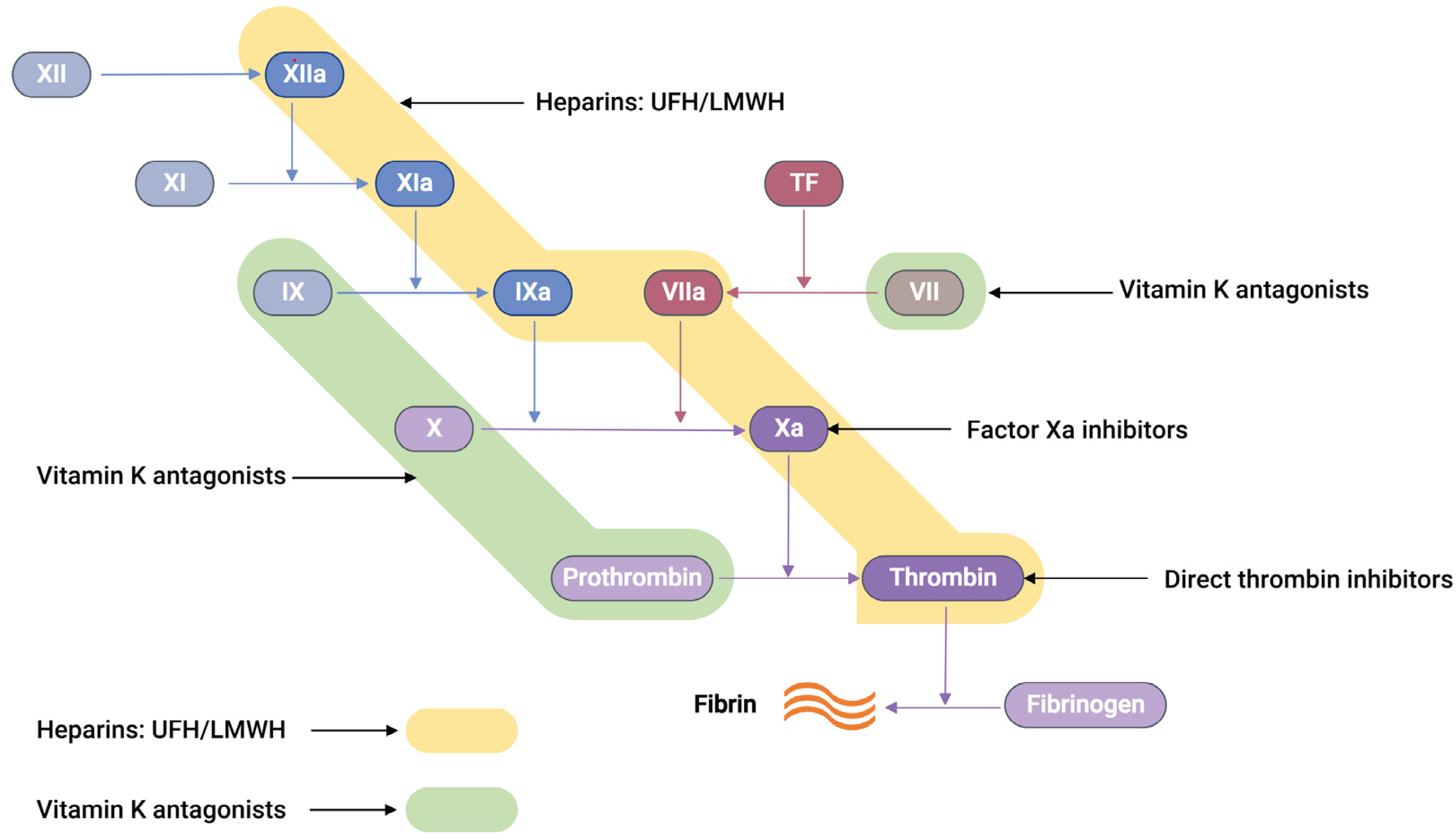 Preprints 99673 g002