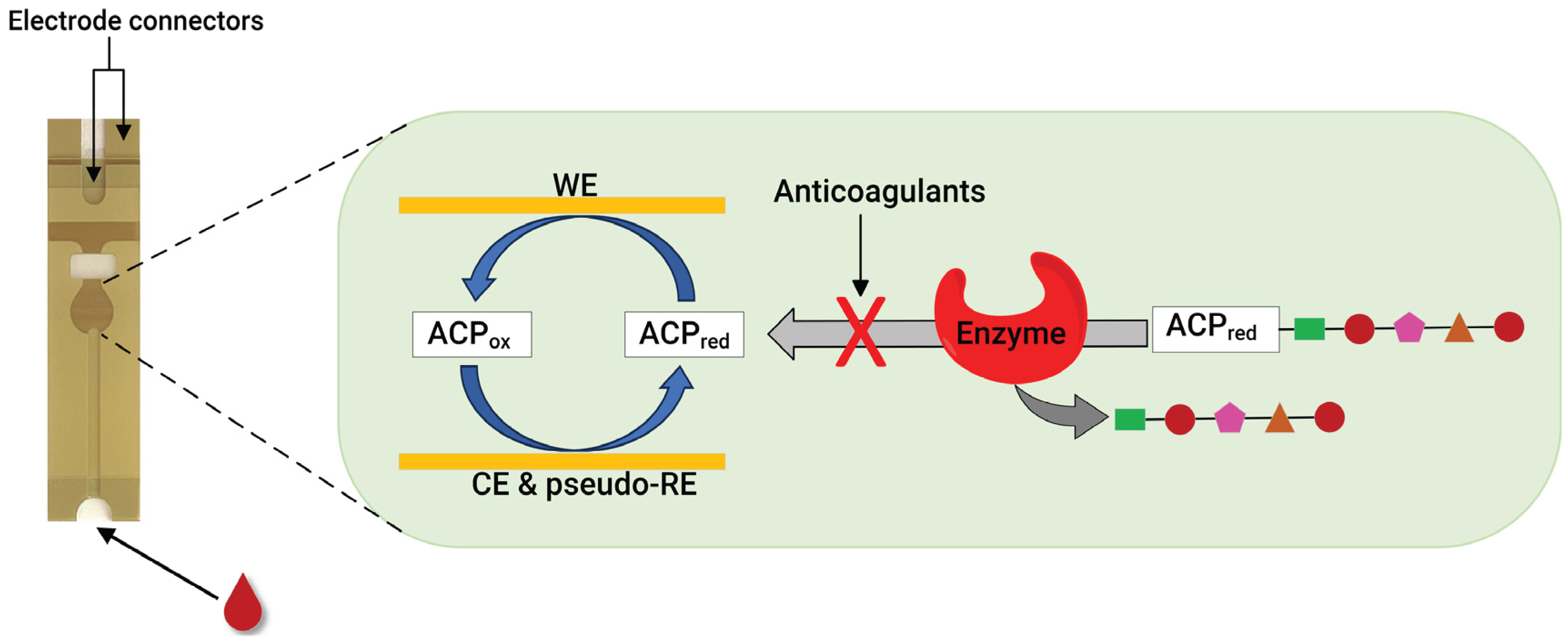 Preprints 99673 g003