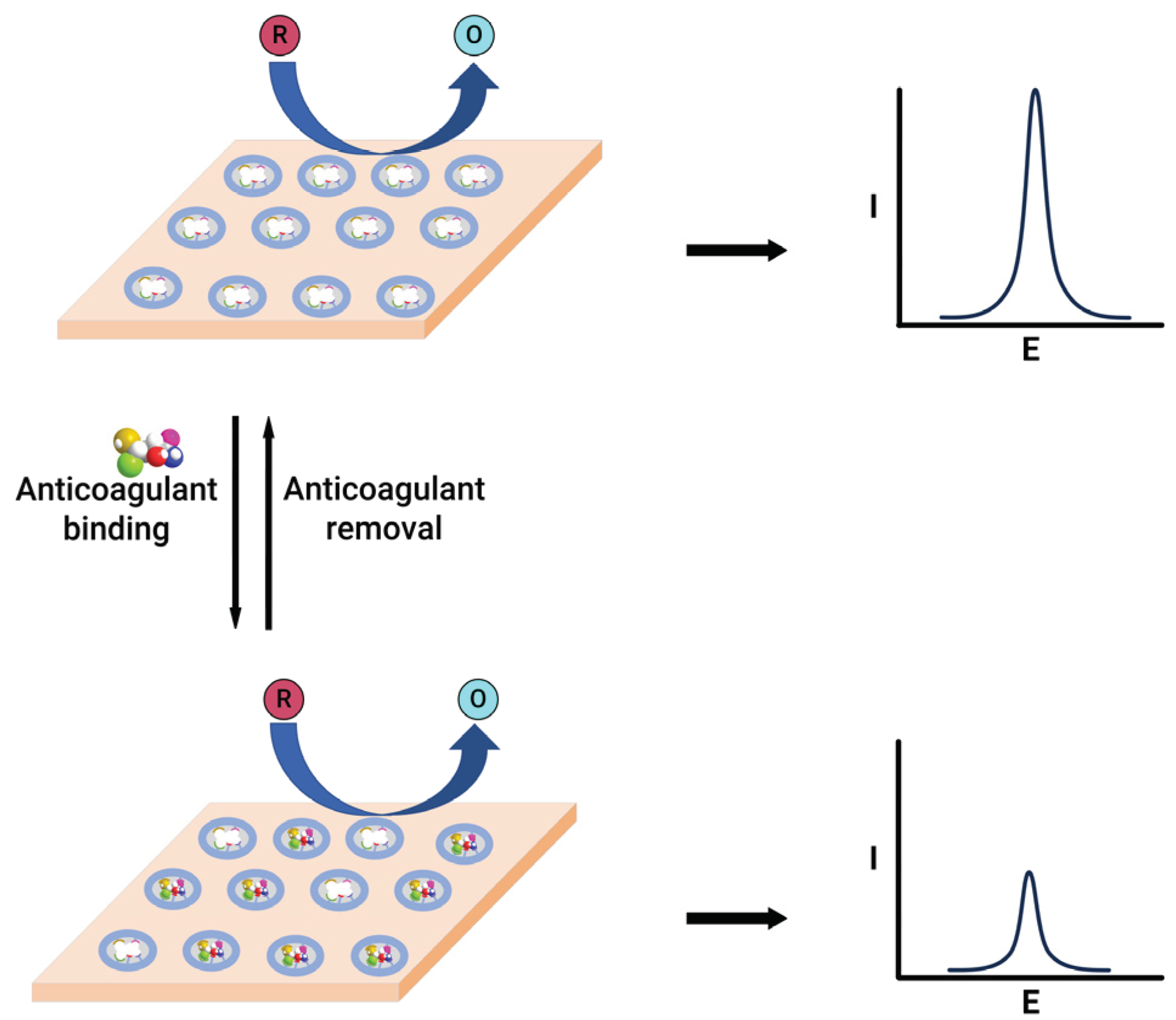 Preprints 99673 g004