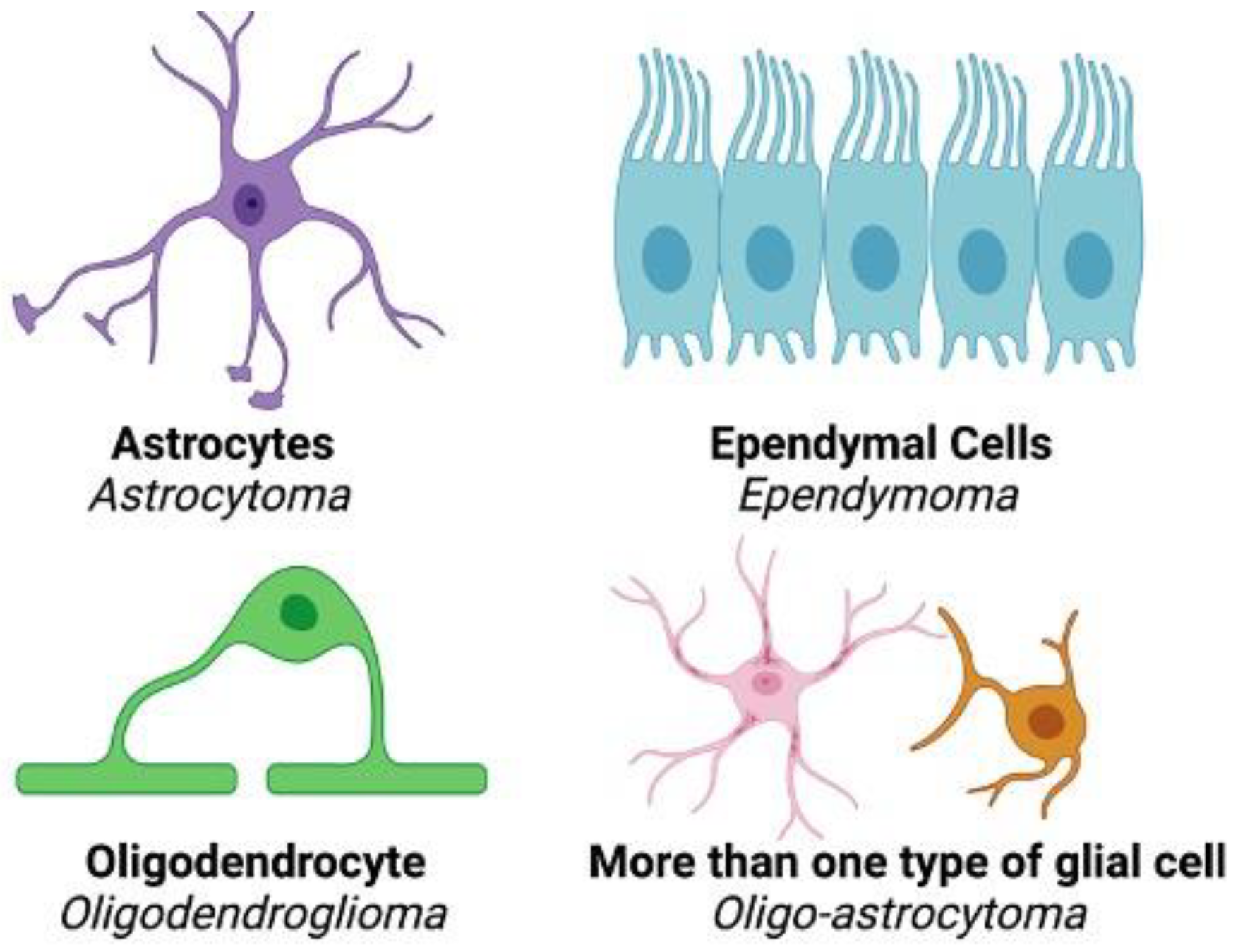 Preprints 120358 g001