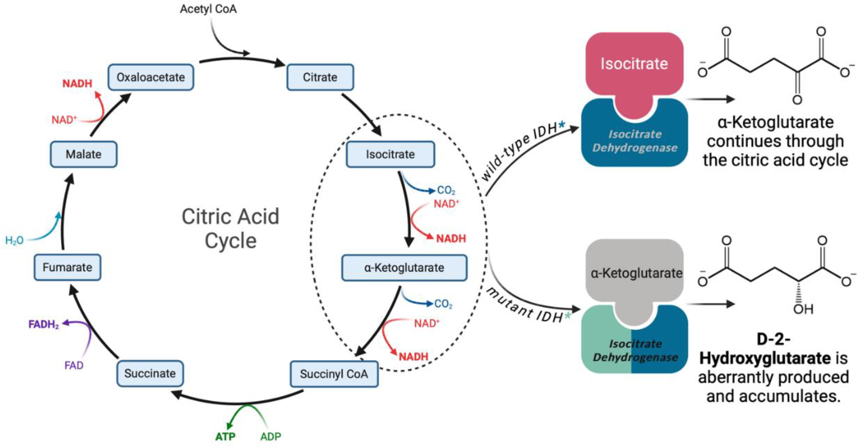 Preprints 120358 g002