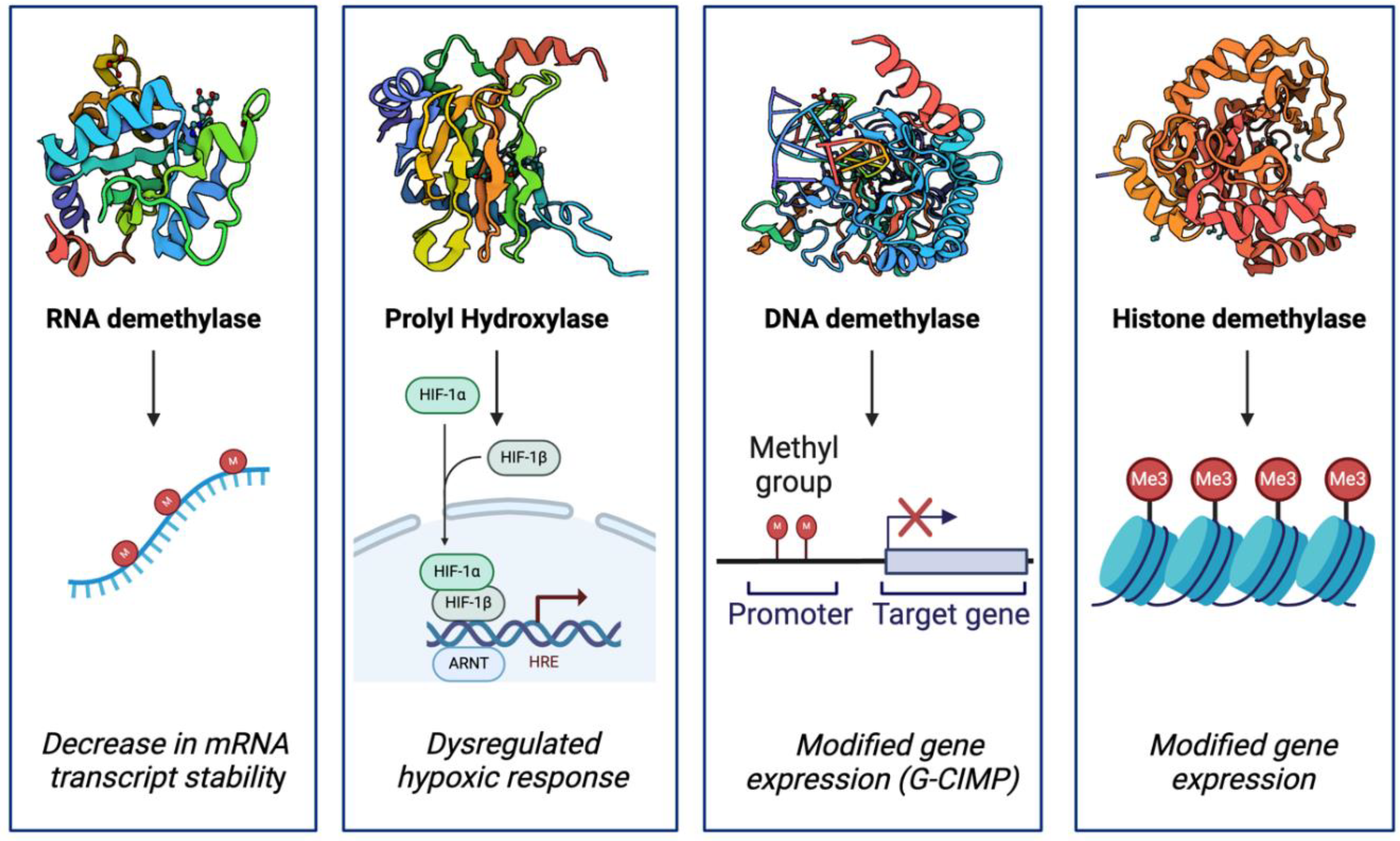 Preprints 120358 g003