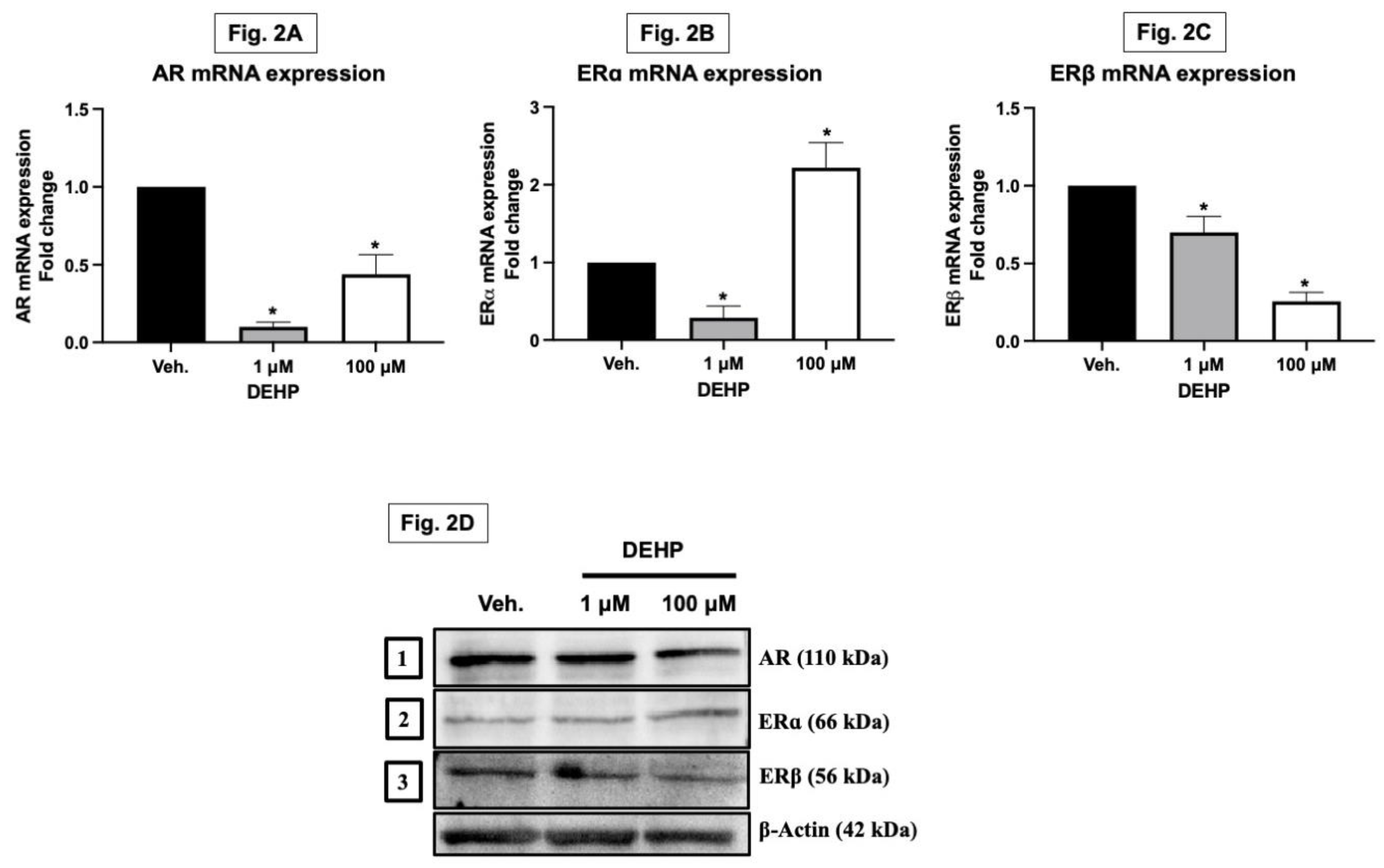 Preprints 95696 g002