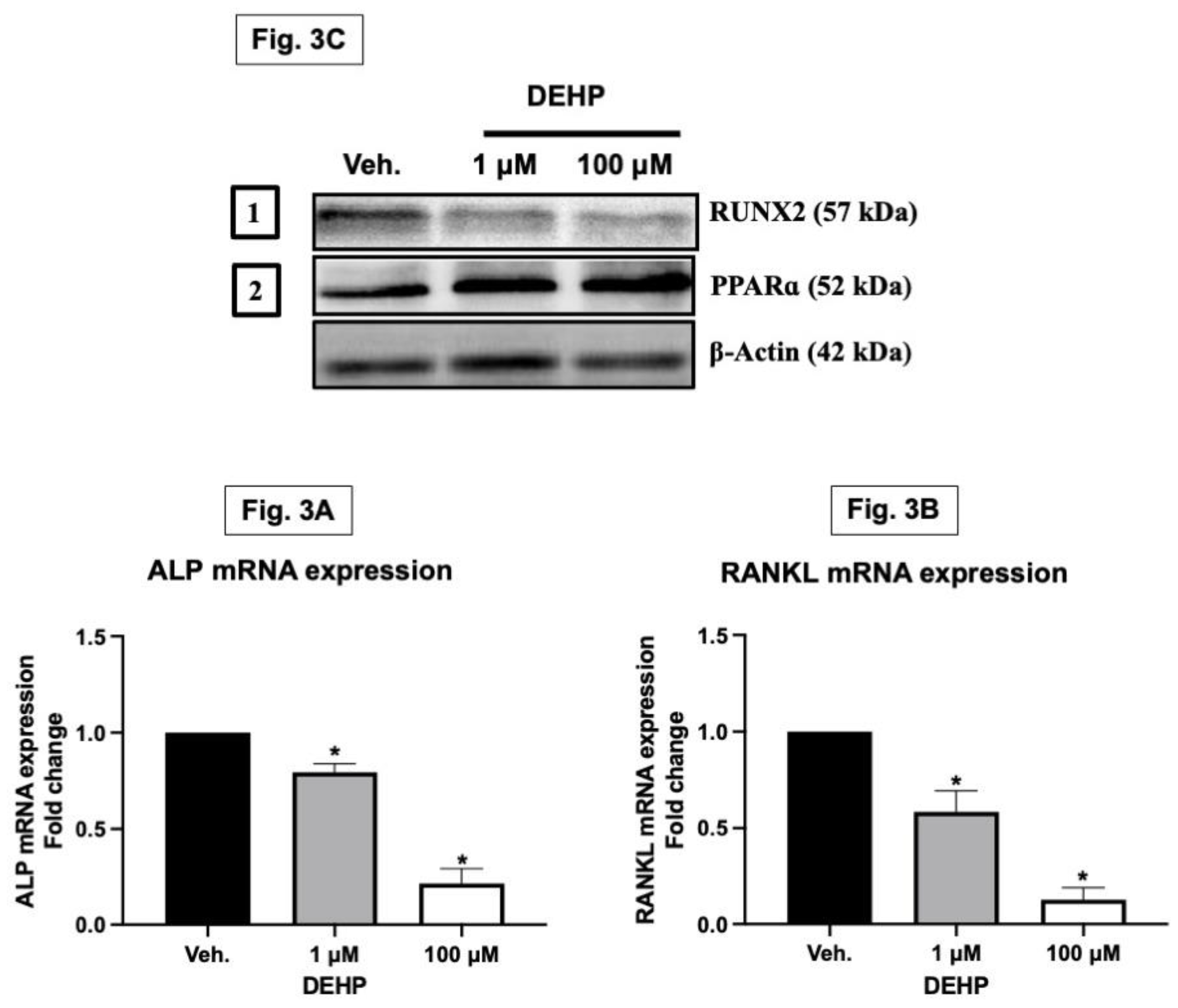 Preprints 95696 g003