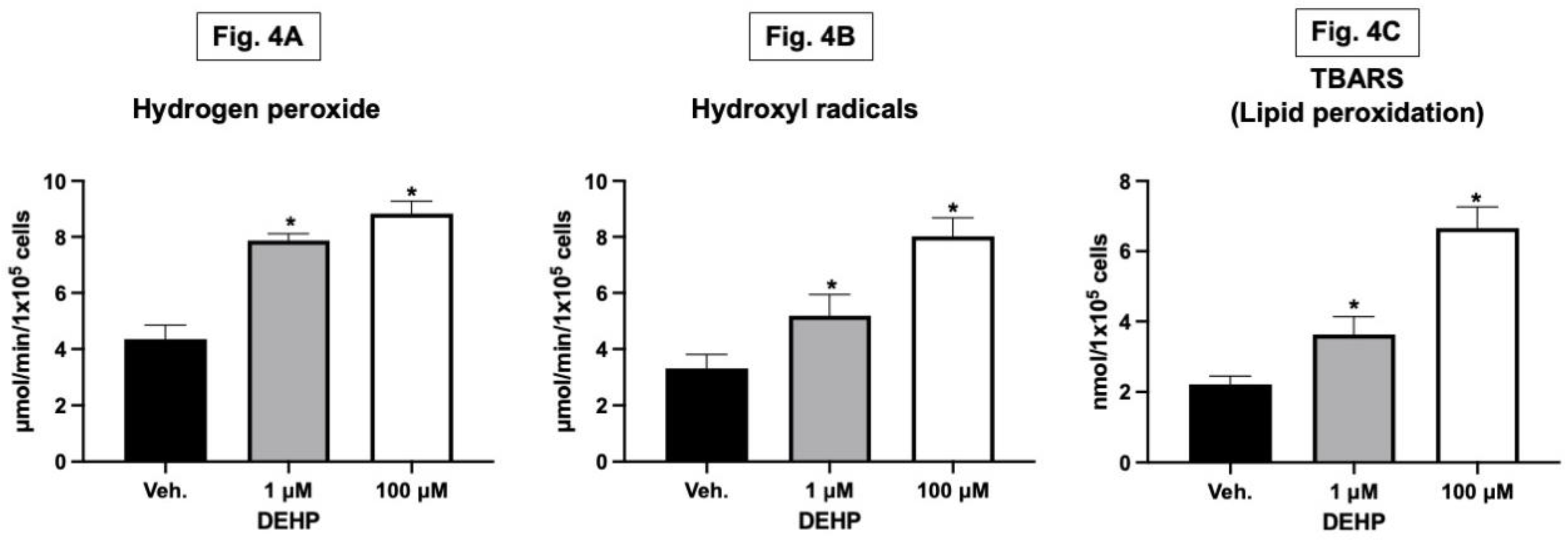 Preprints 95696 g004