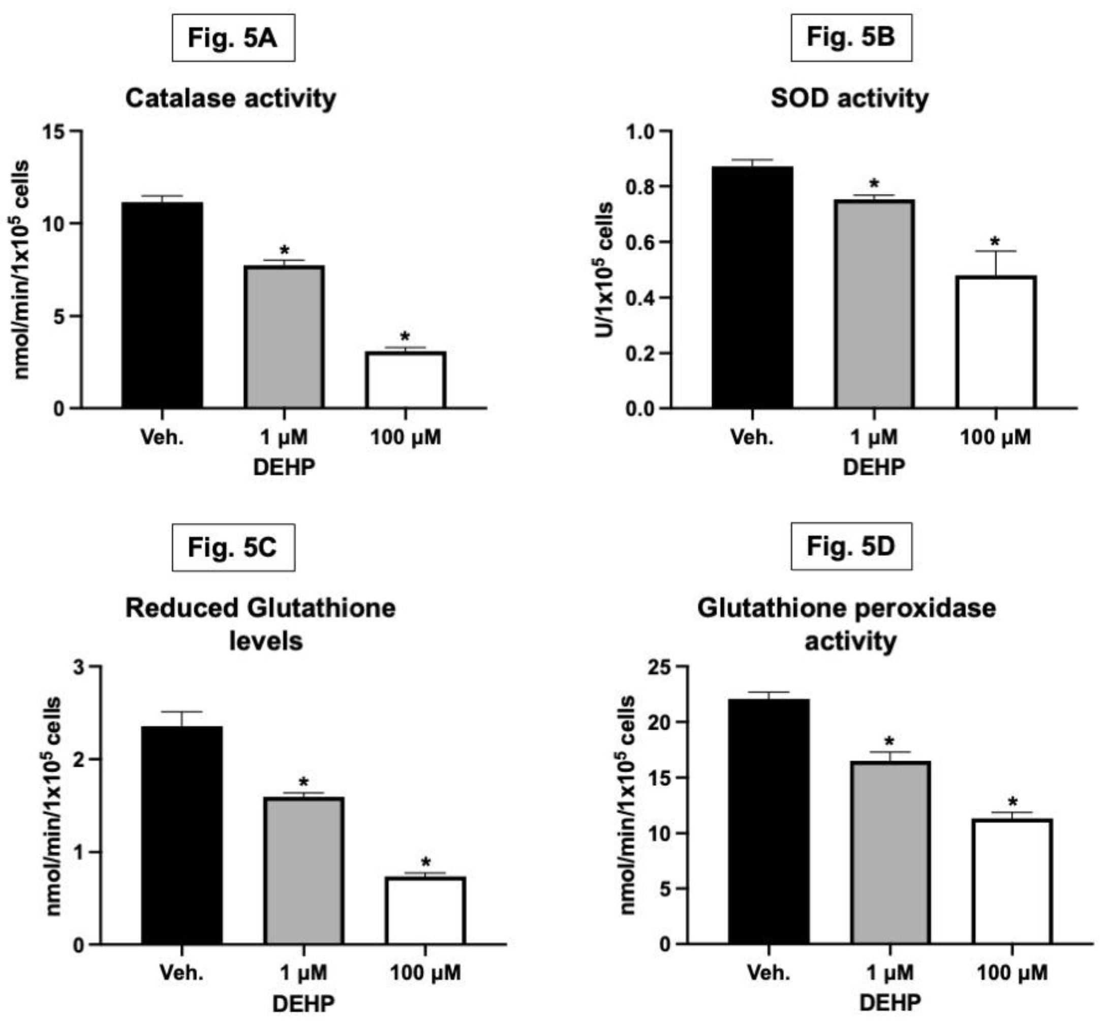 Preprints 95696 g005