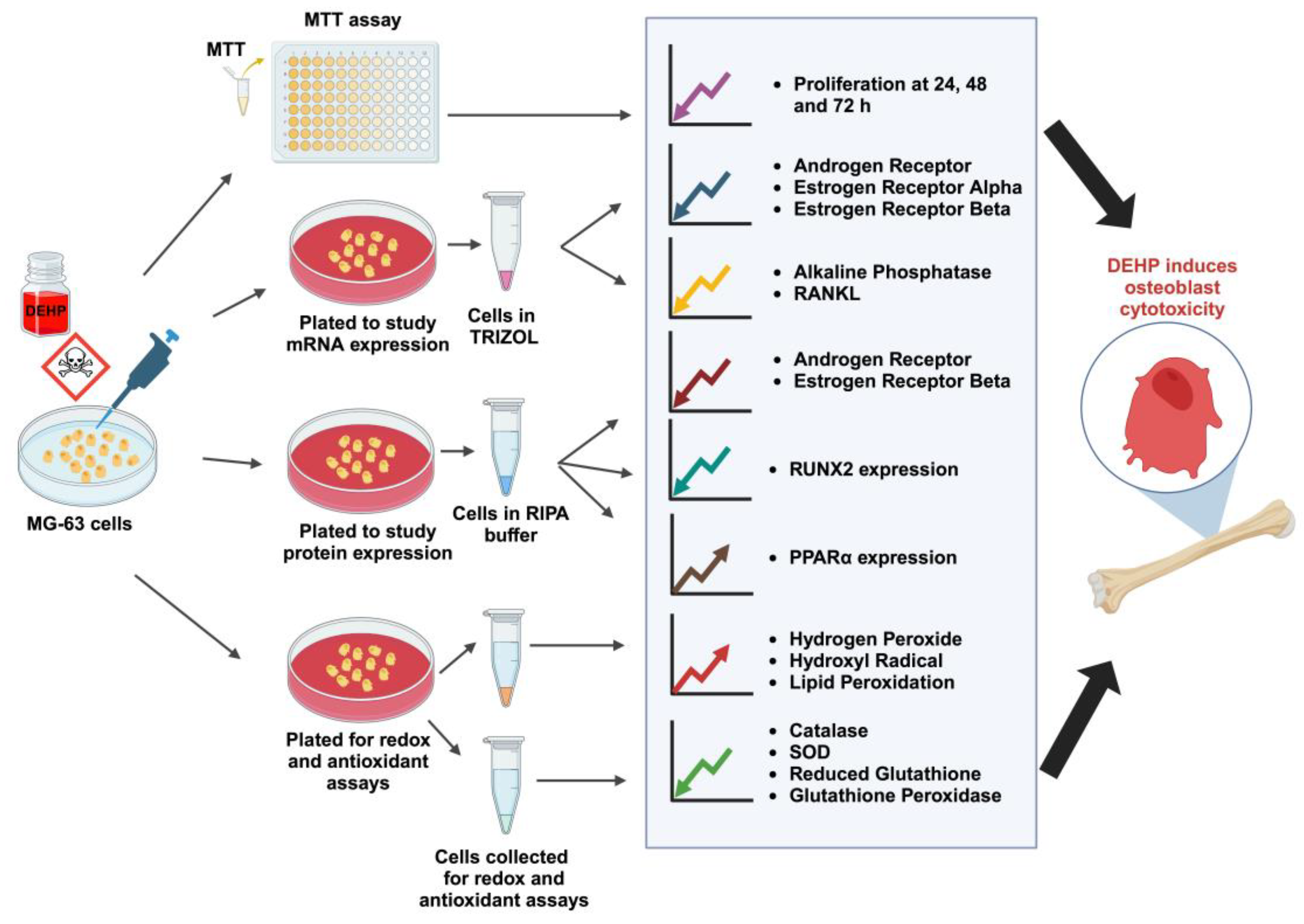 Preprints 95696 g006