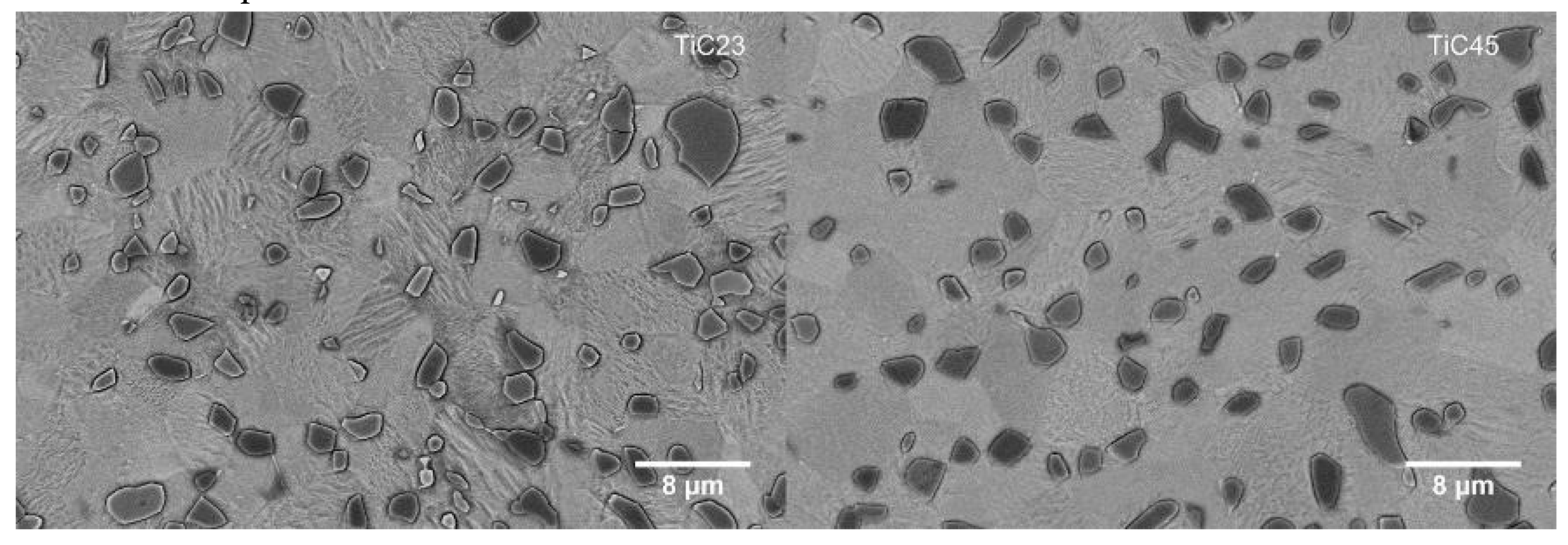 Preprints 114457 g007