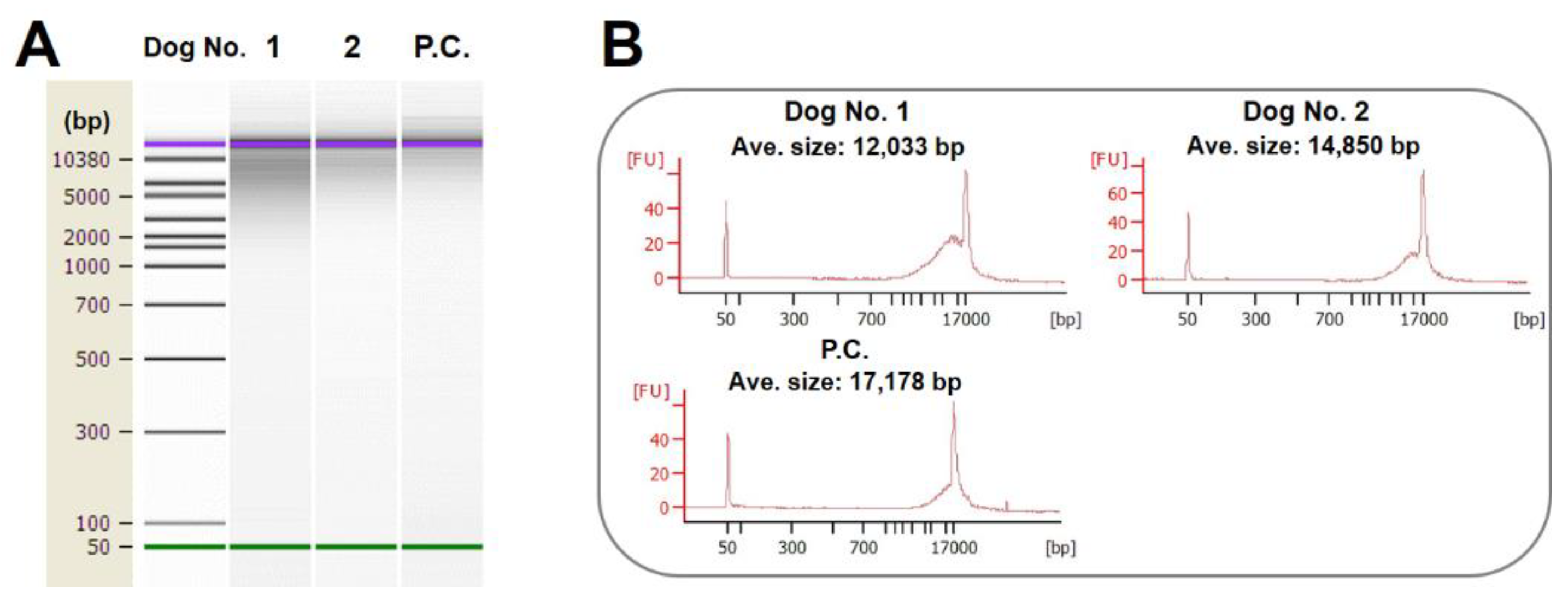 Preprints 116111 g002