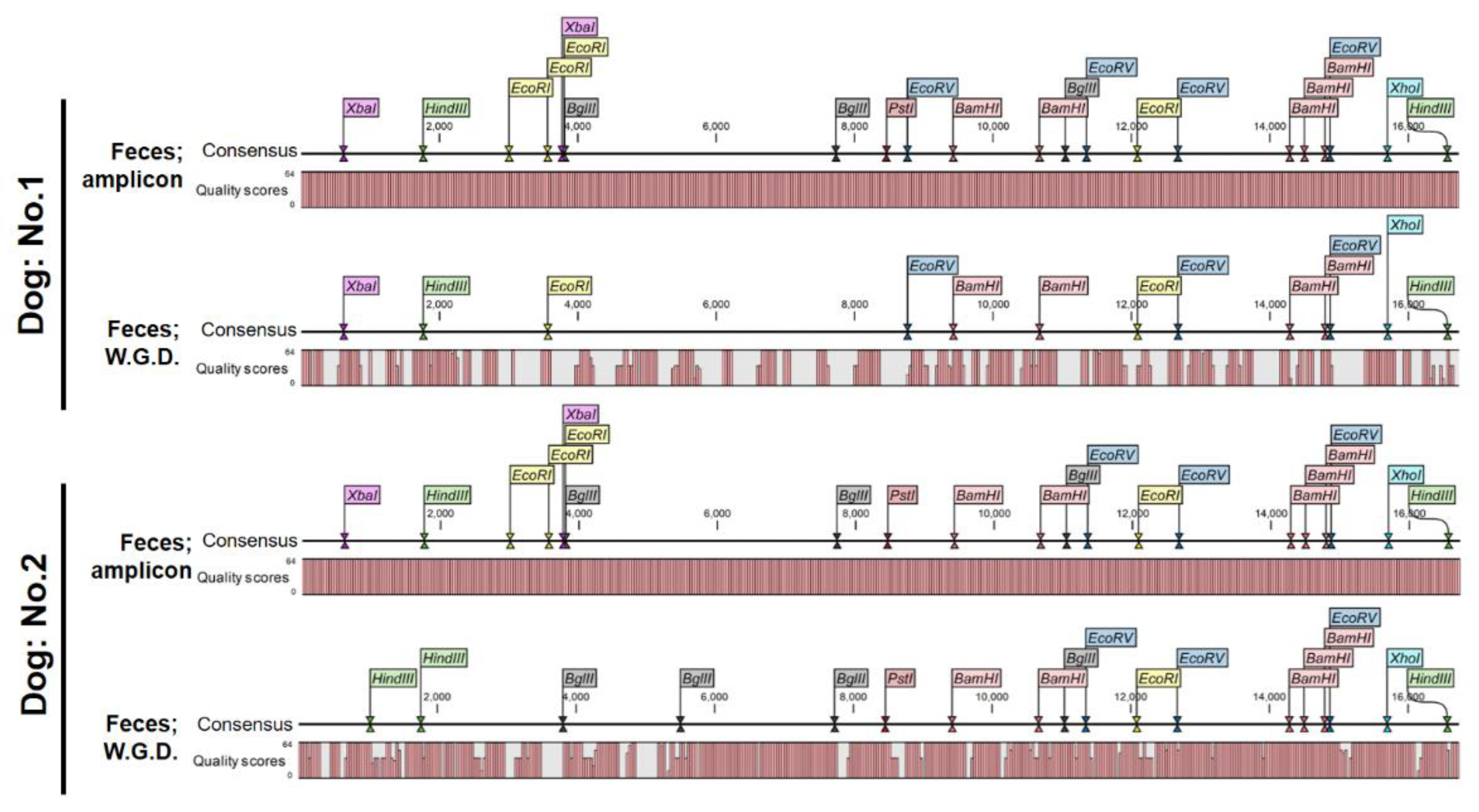 Preprints 116111 g005