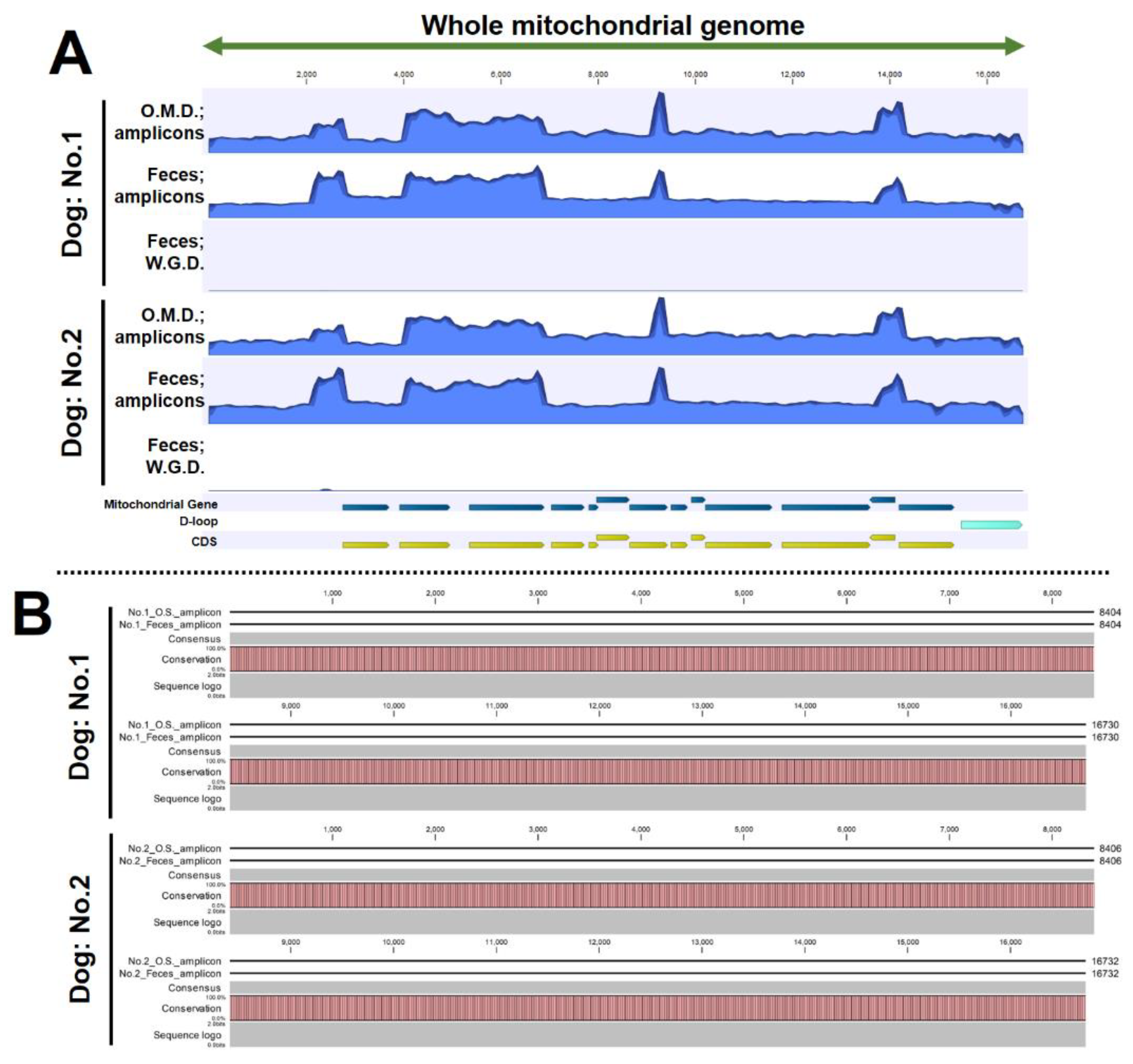 Preprints 116111 g006