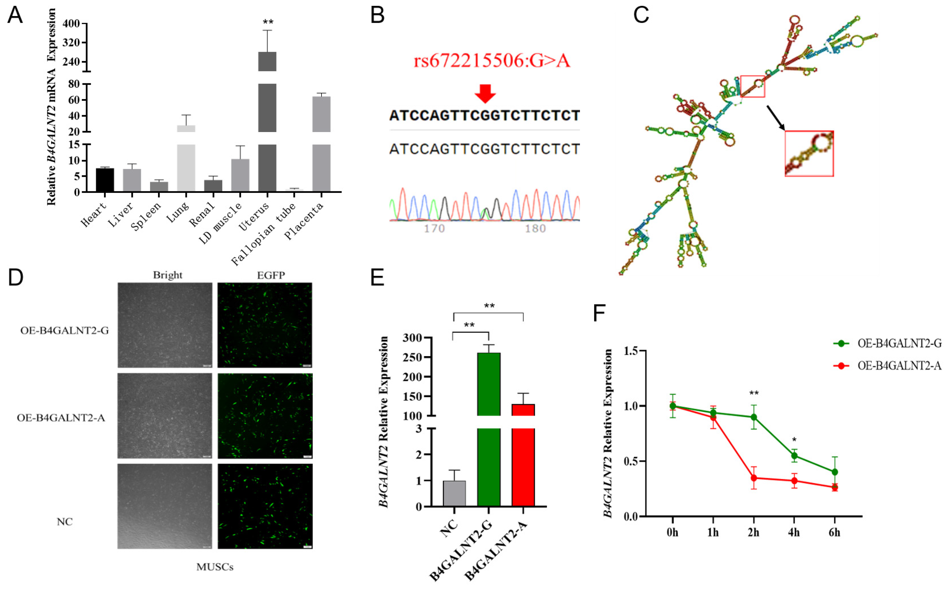 Preprints 99280 g001