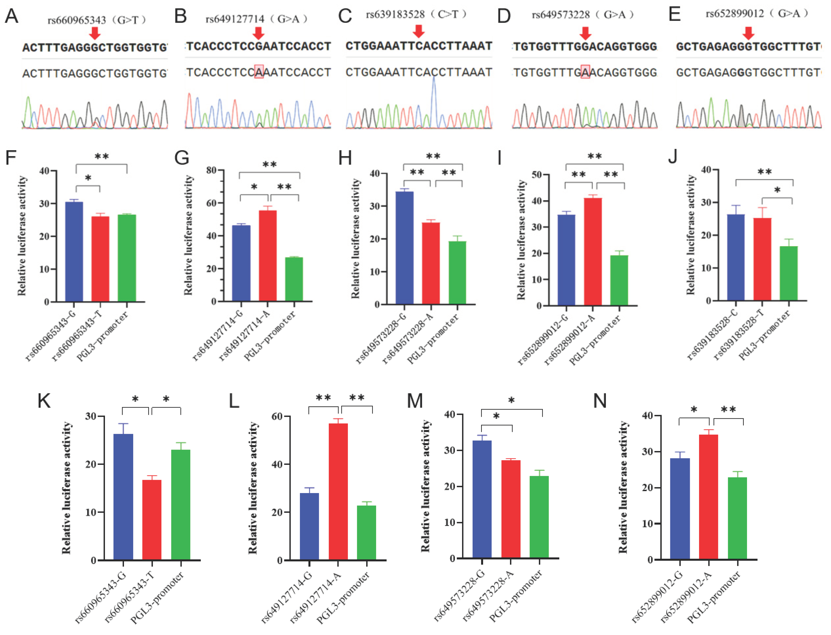 Preprints 99280 g002