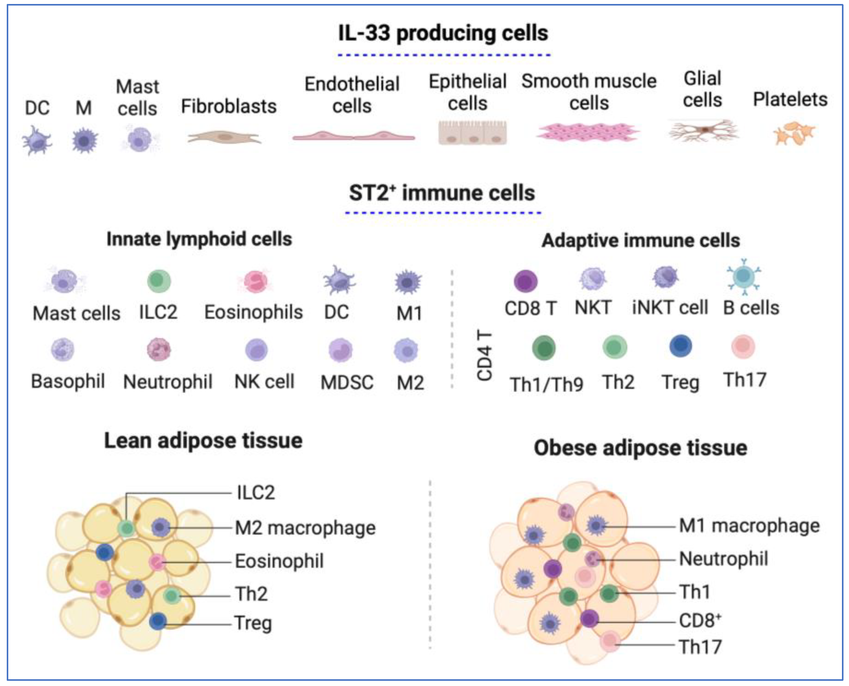 Preprints 117083 g001