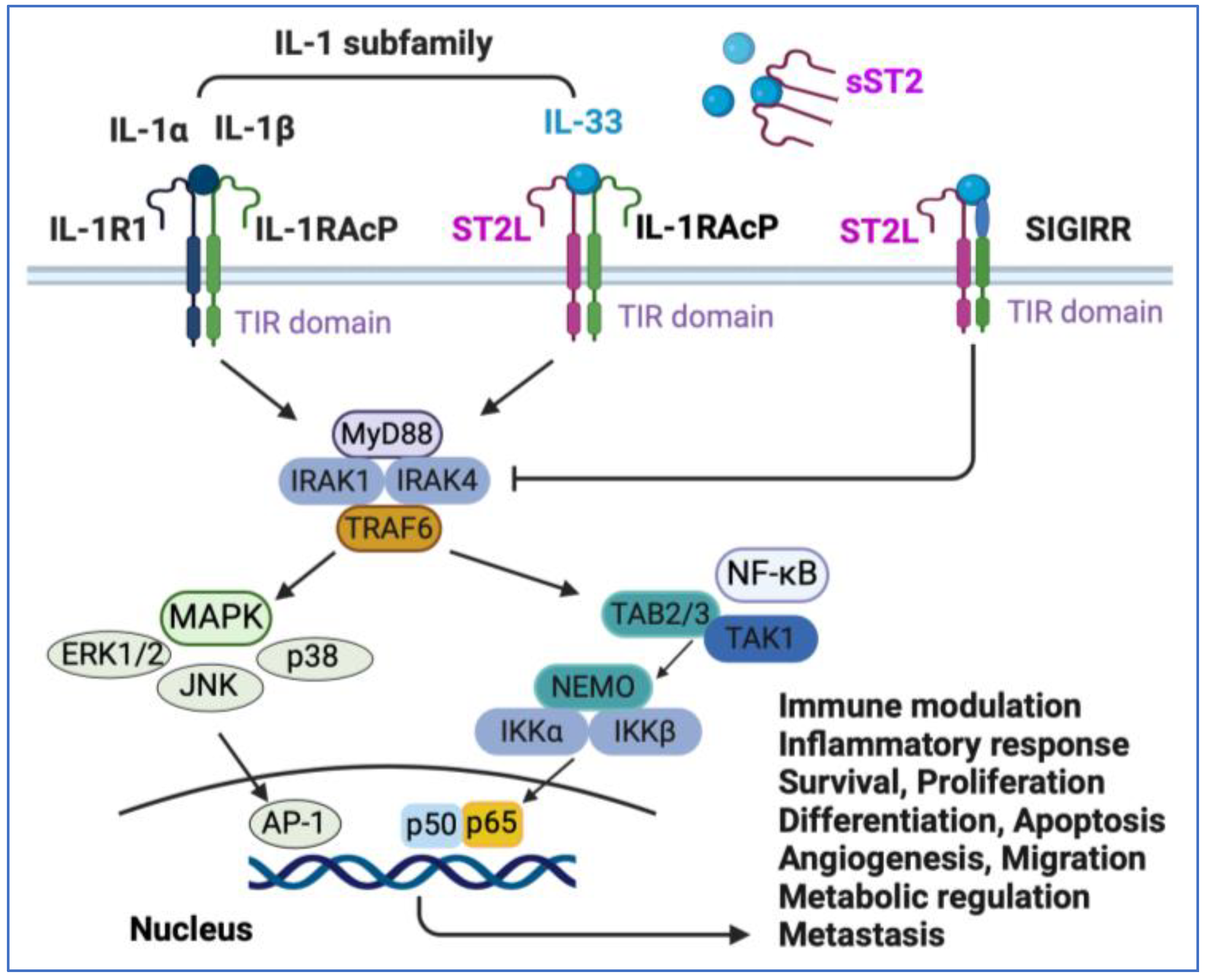 Preprints 117083 g002