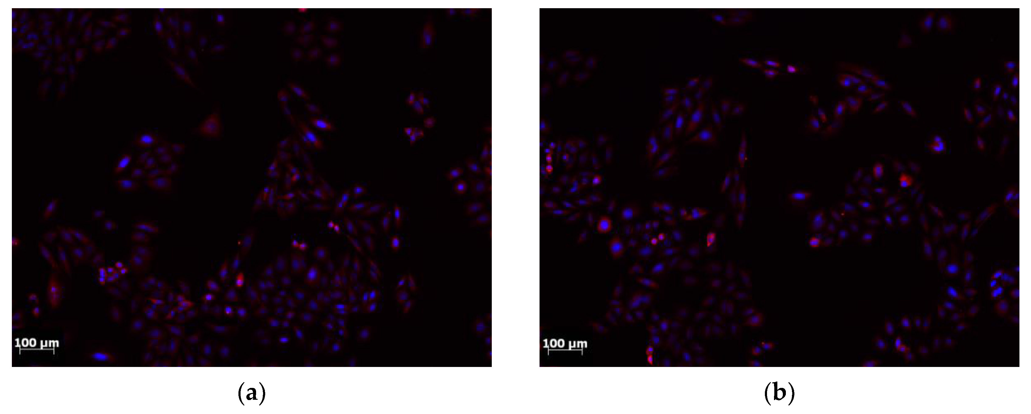 Preprints 104396 g016