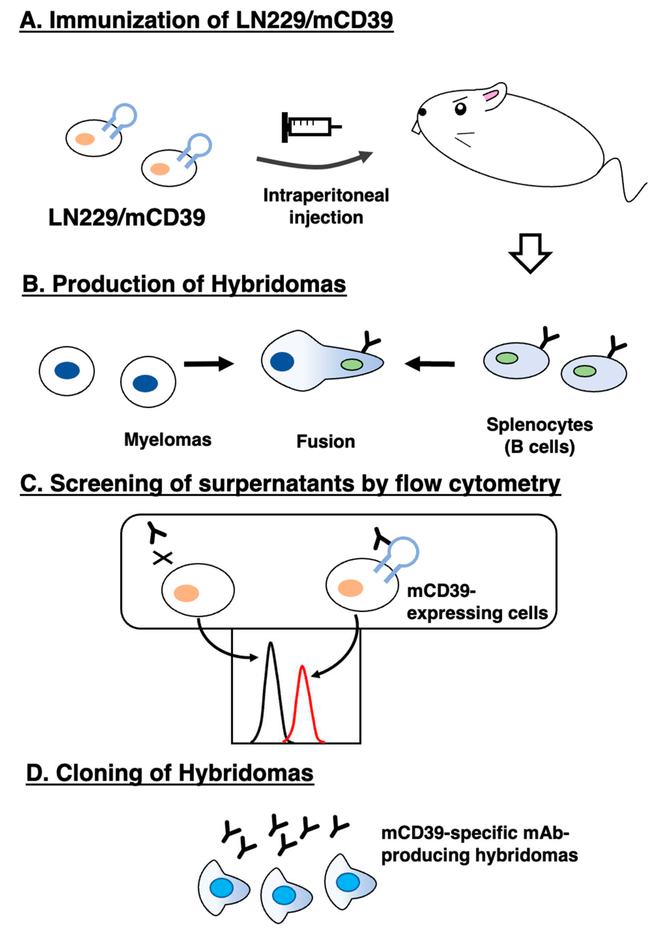 Preprints 70484 g001