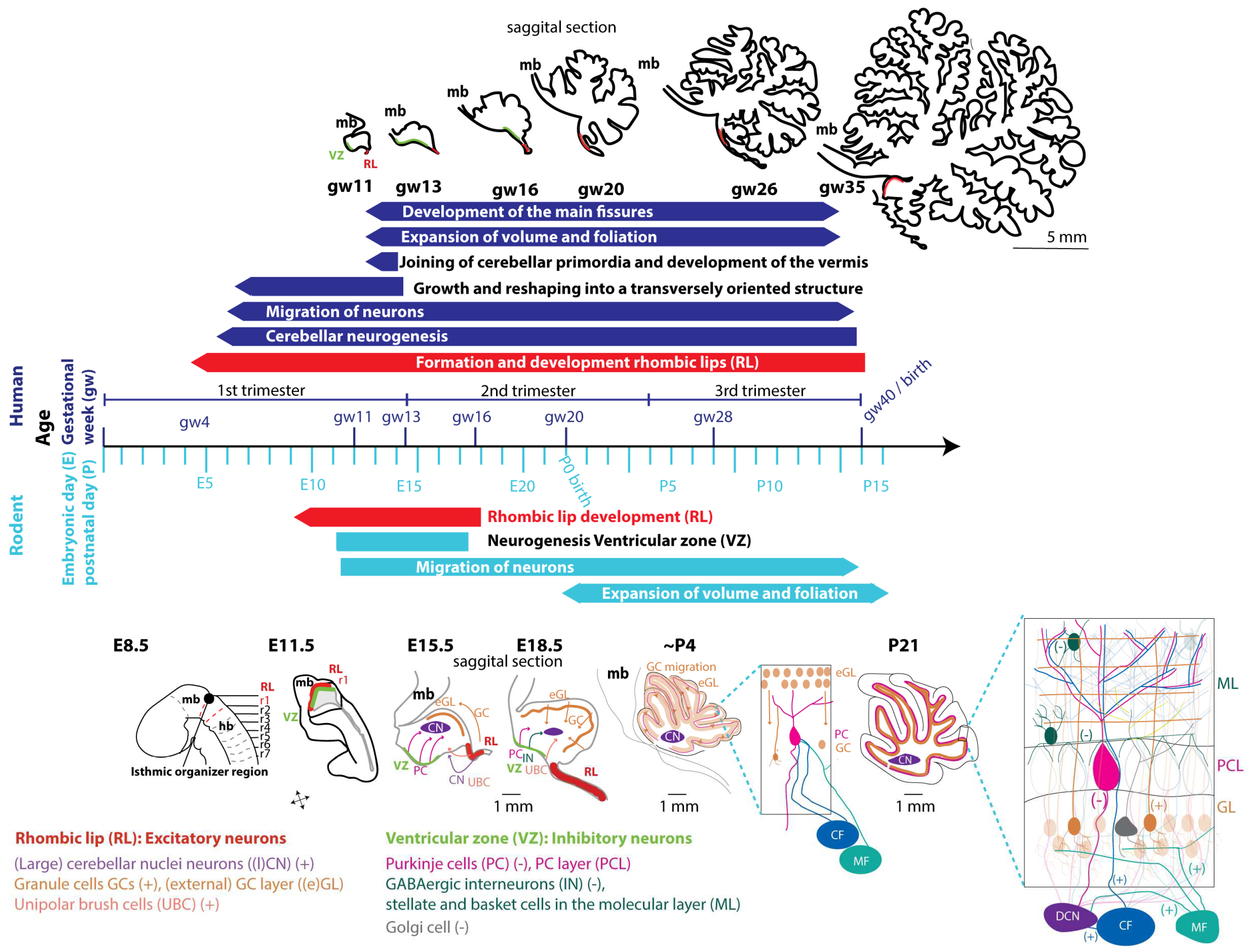 Preprints 97173 g002