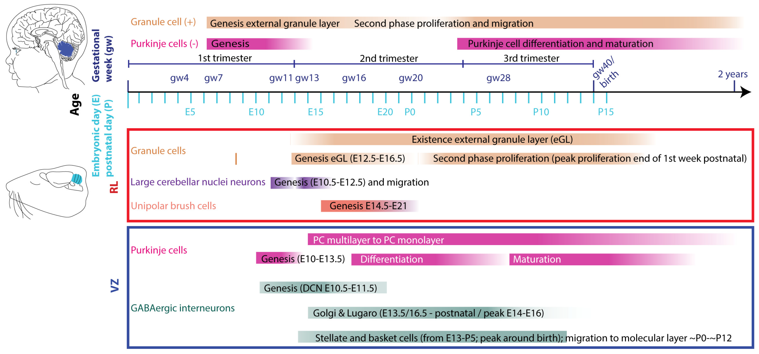 Preprints 97173 g003