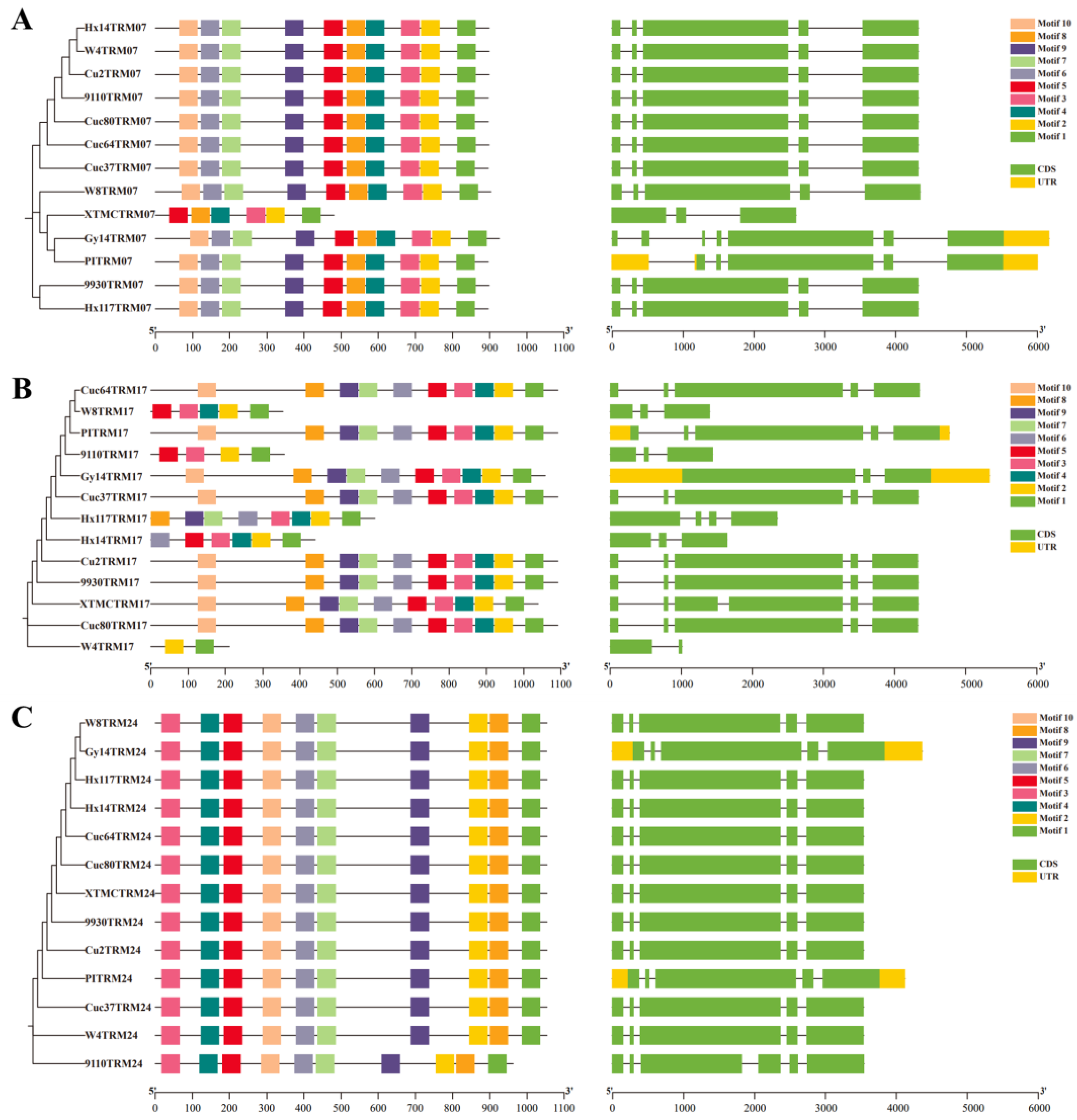 Preprints 110489 g001