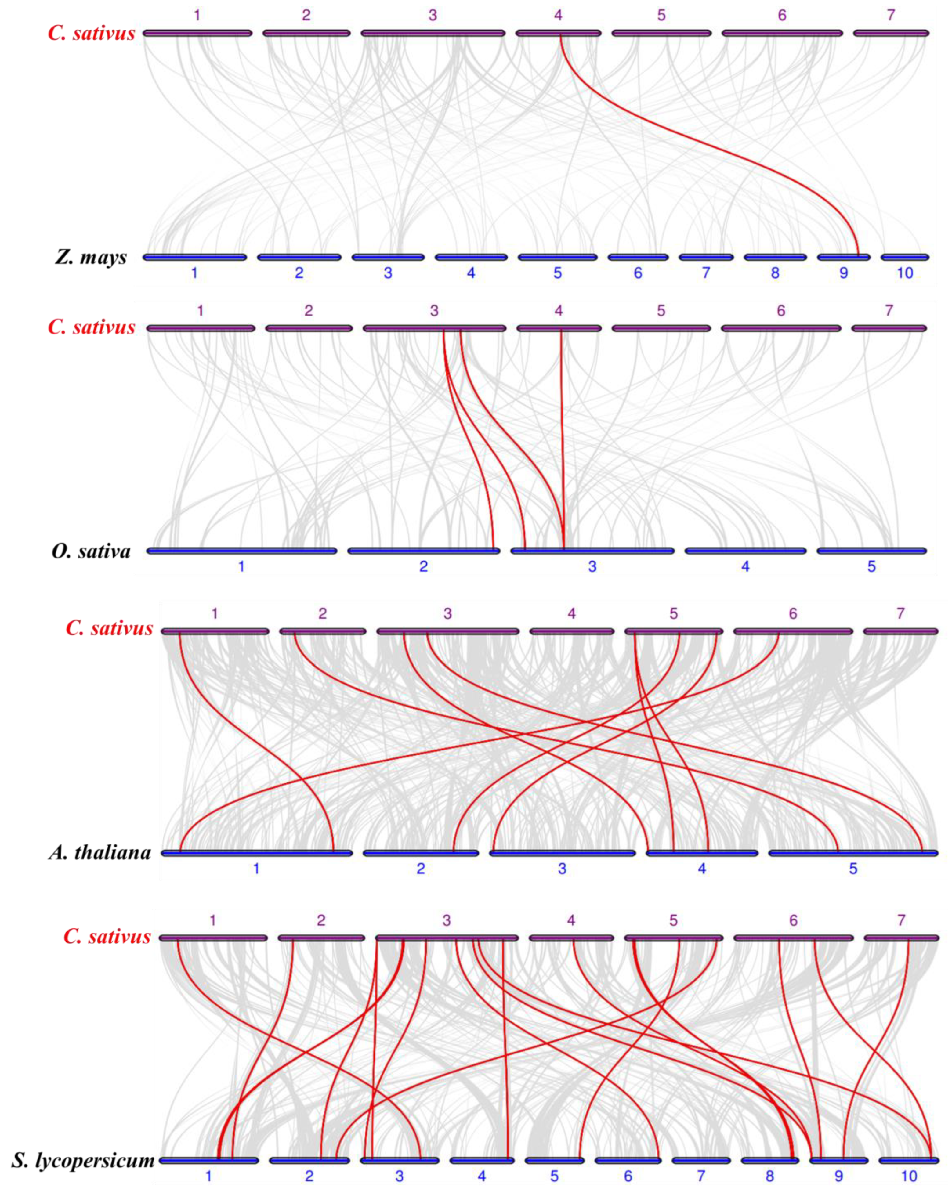 Preprints 110489 g002