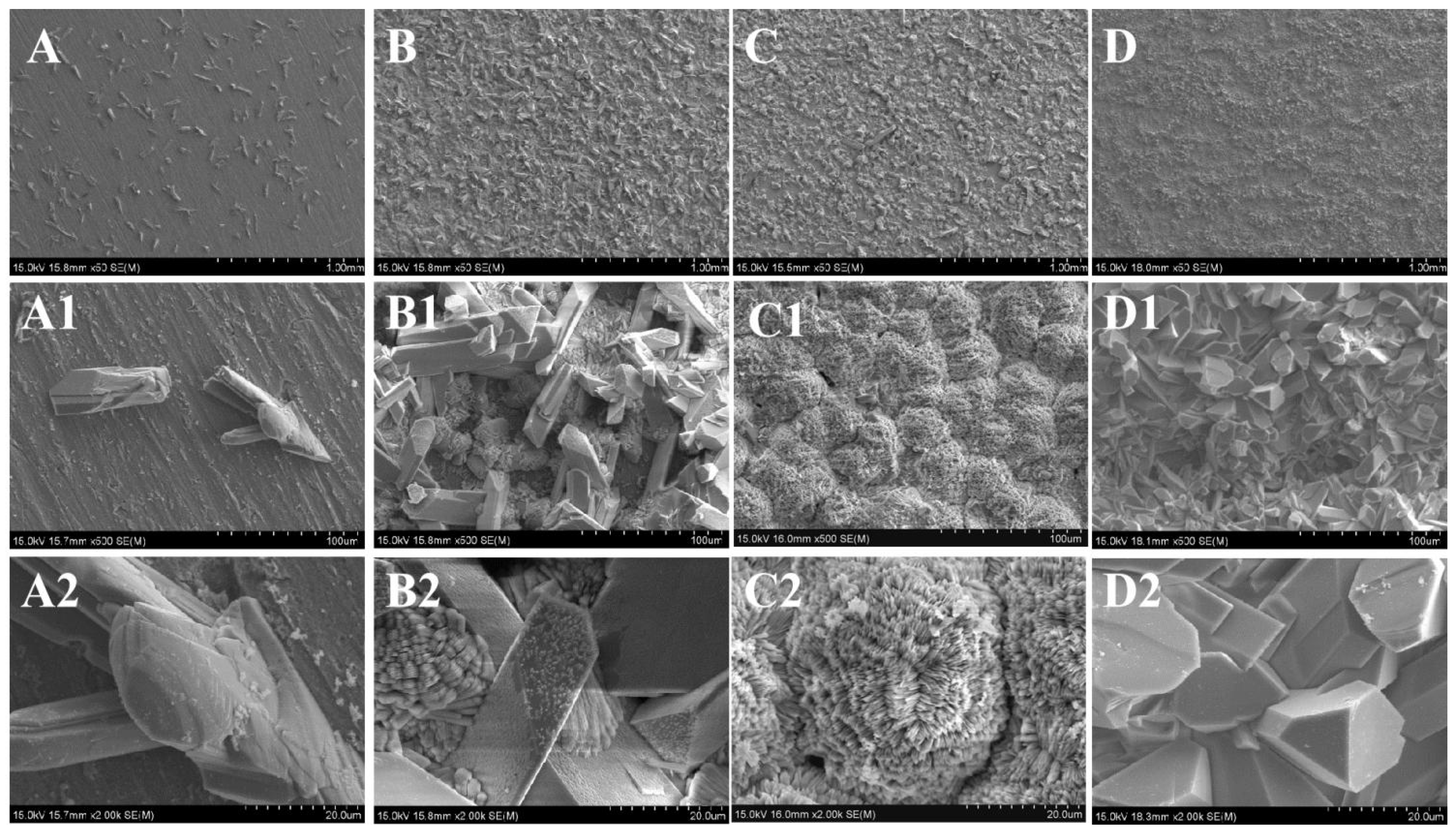 Preprints 81802 g002