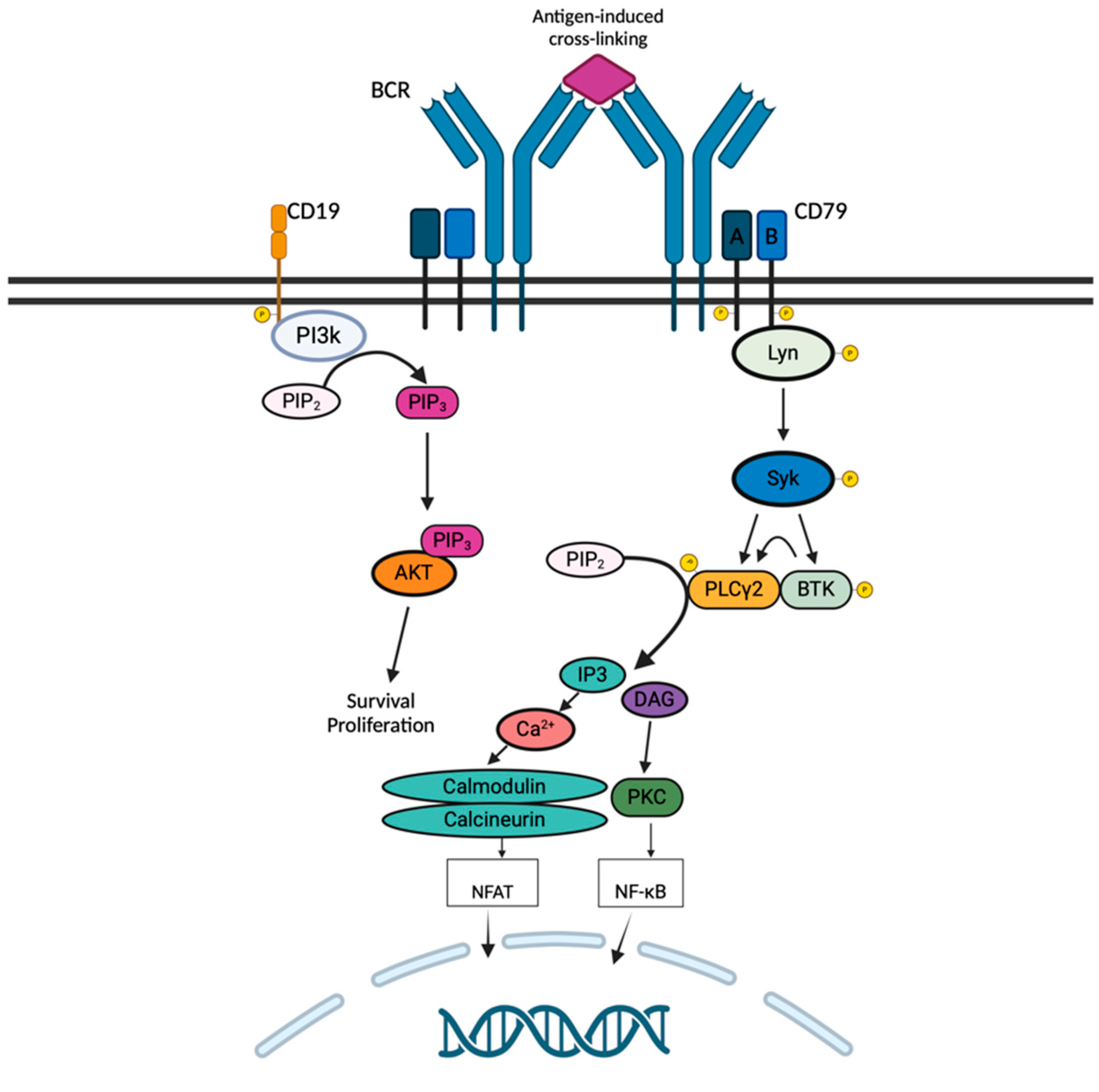 Preprints 112602 g001