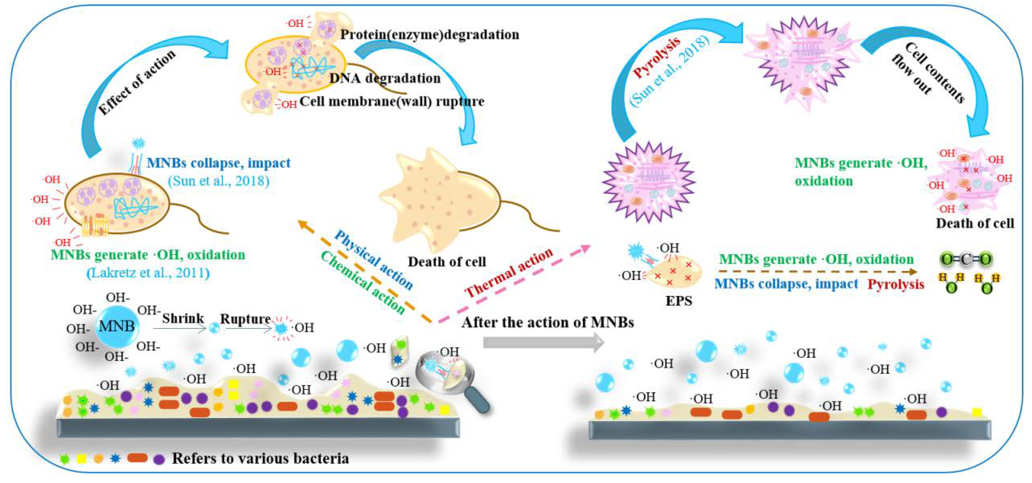 Preprints 99184 g005