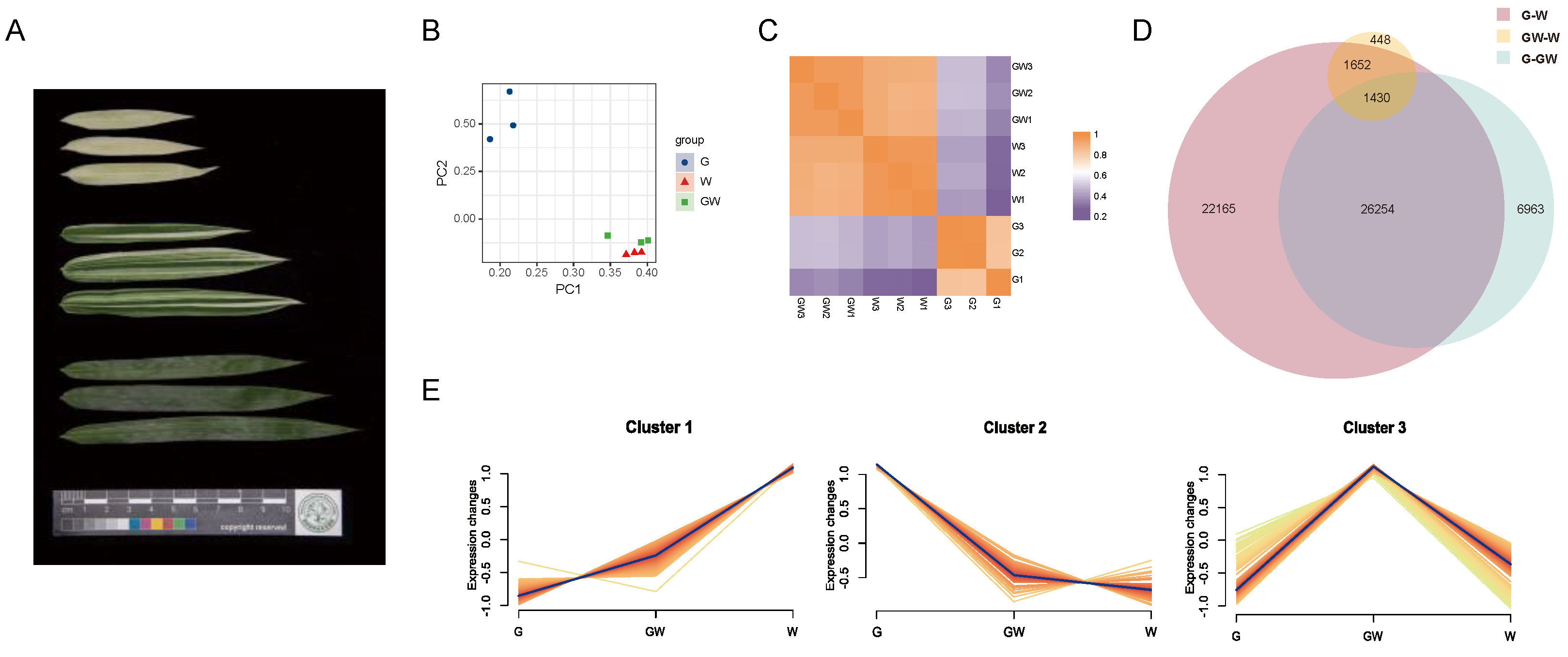 Preprints 90465 g001