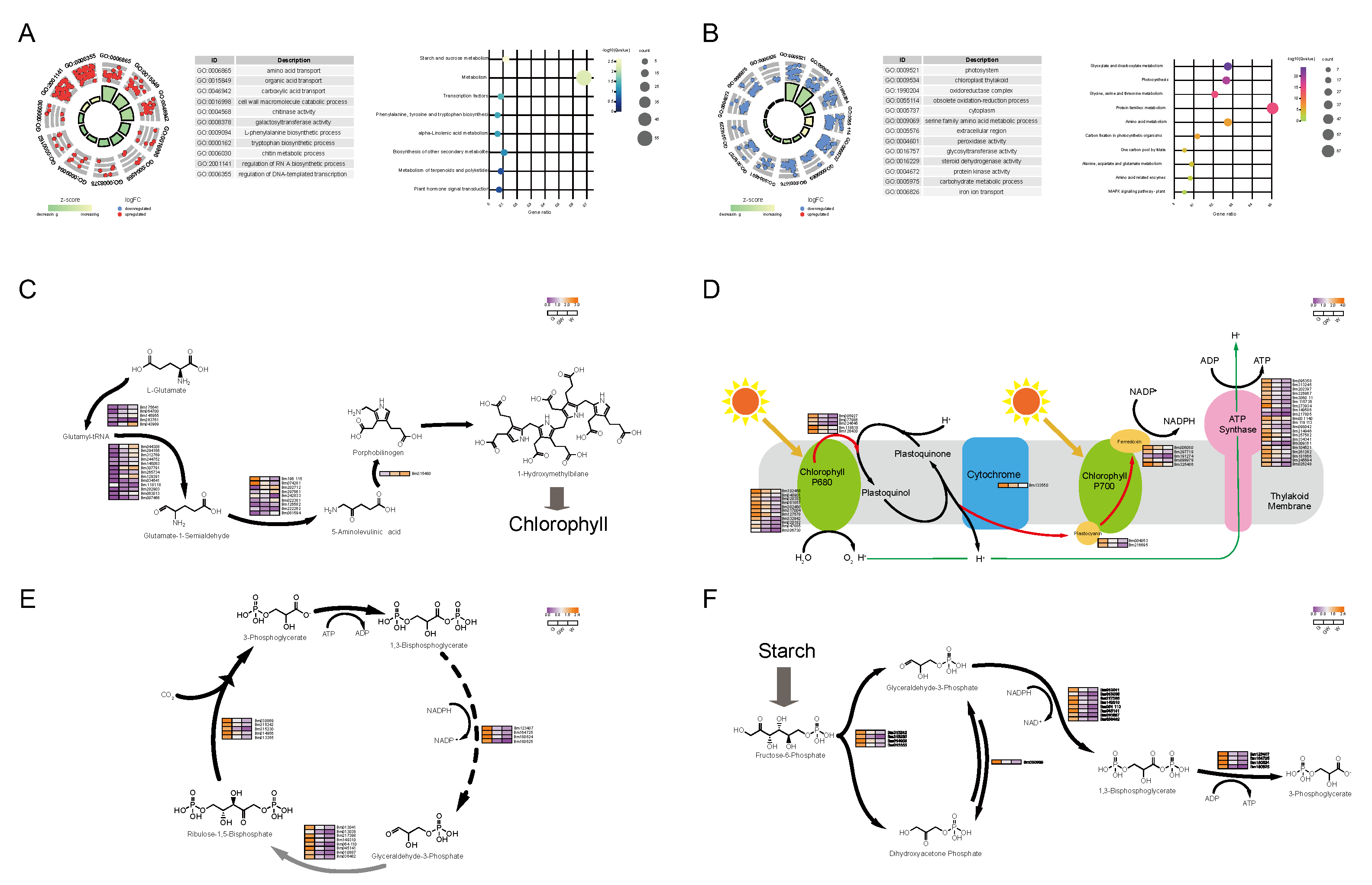 Preprints 90465 g002