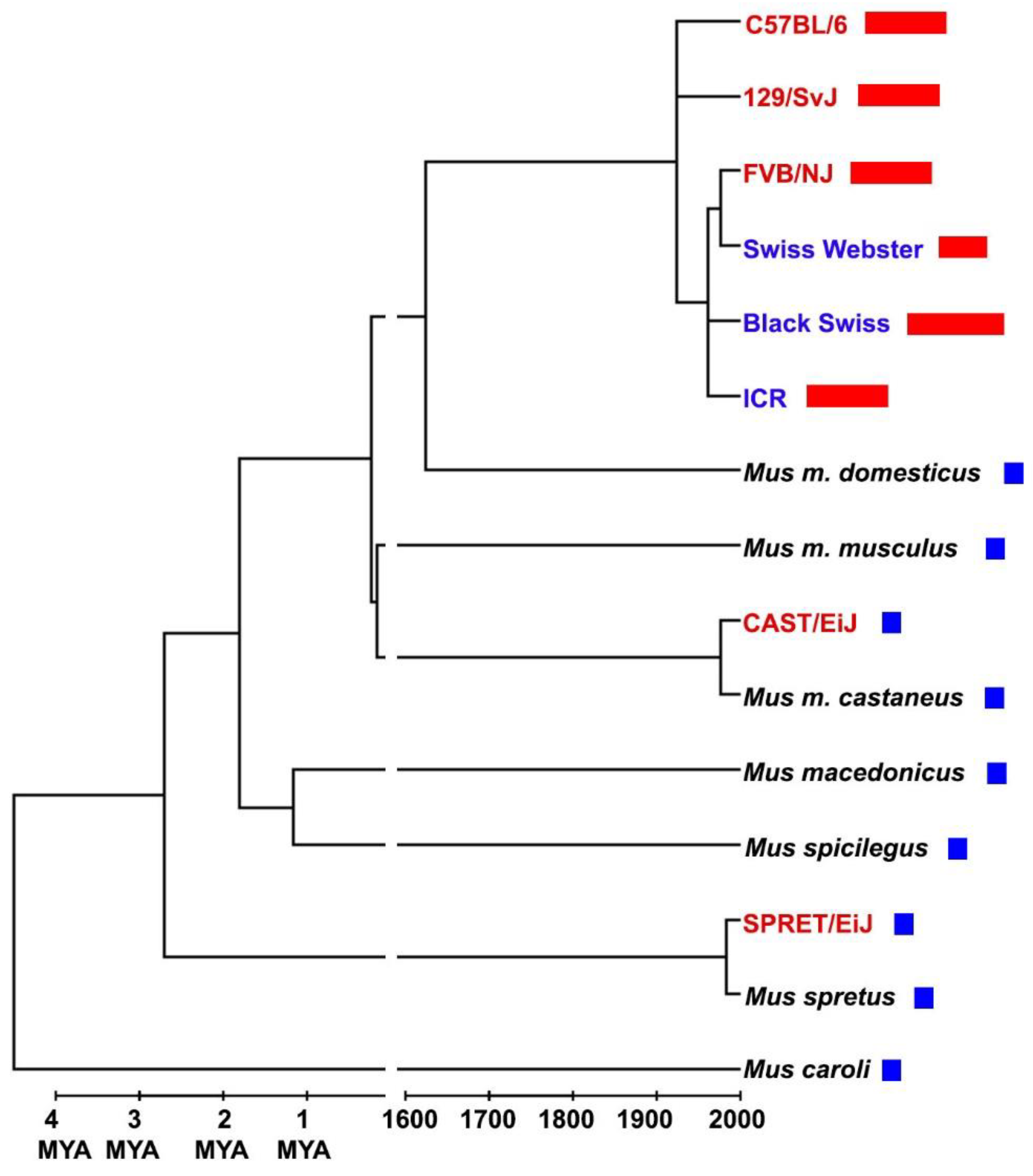 Preprints 96300 g001