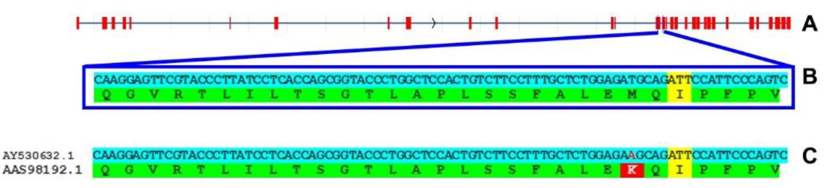 Preprints 96300 g002