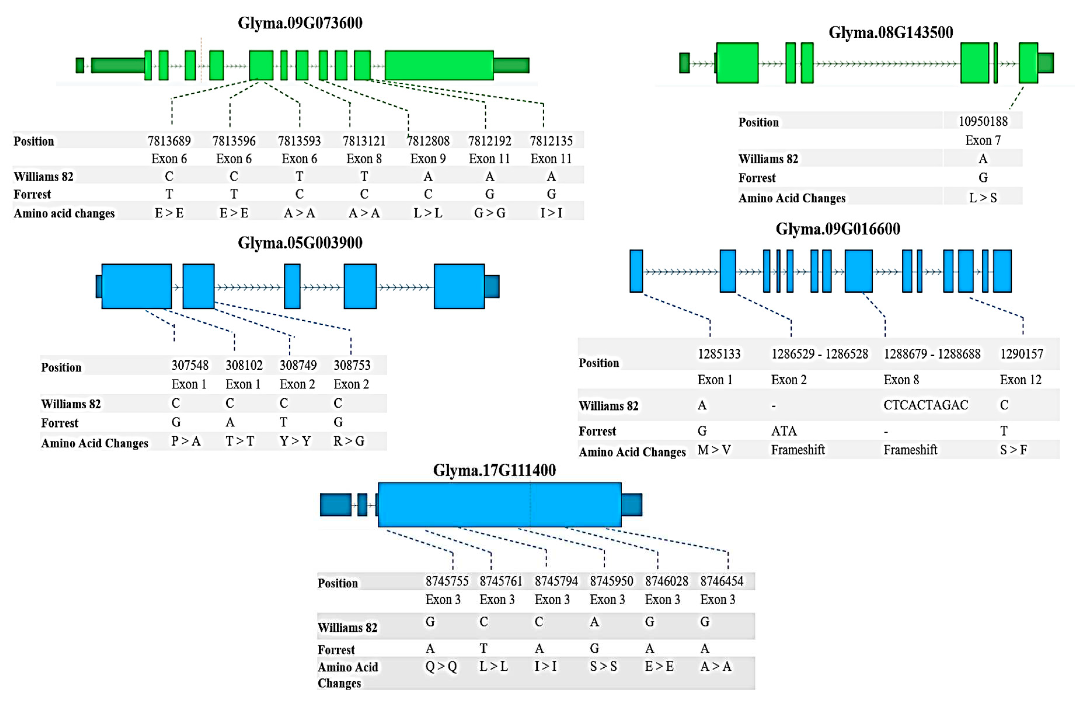 Preprints 83635 g004