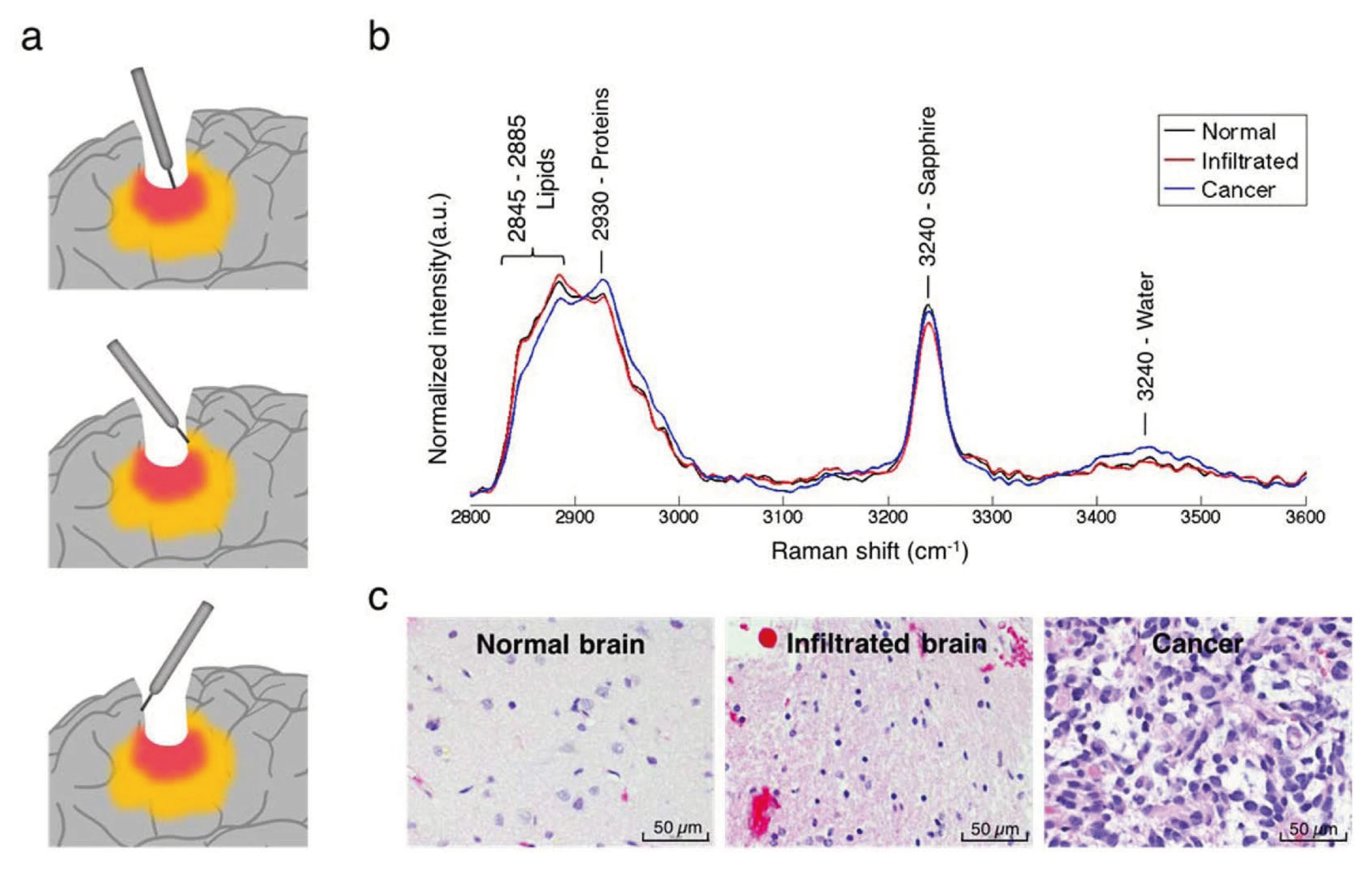 Preprints 103069 g002