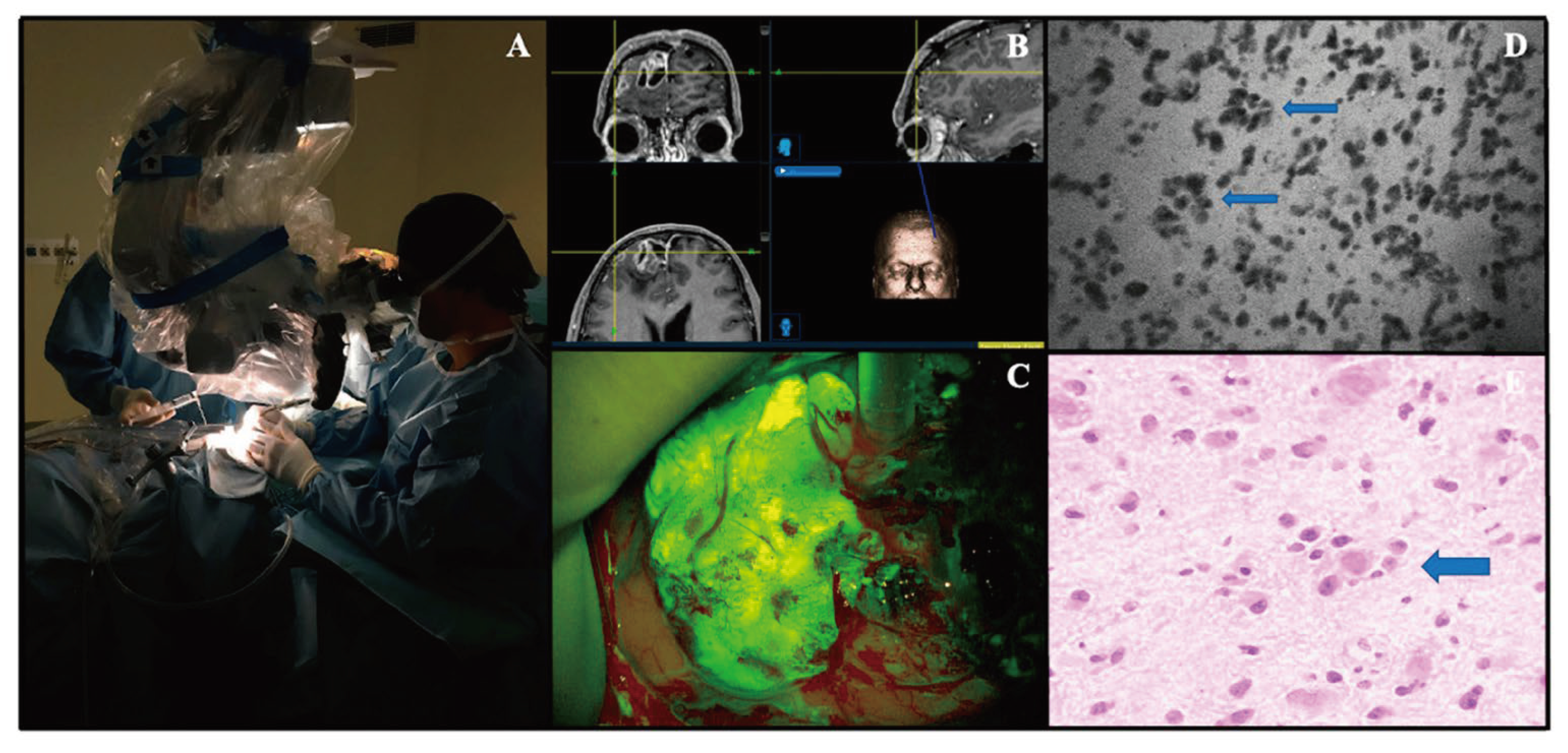 Preprints 103069 g003