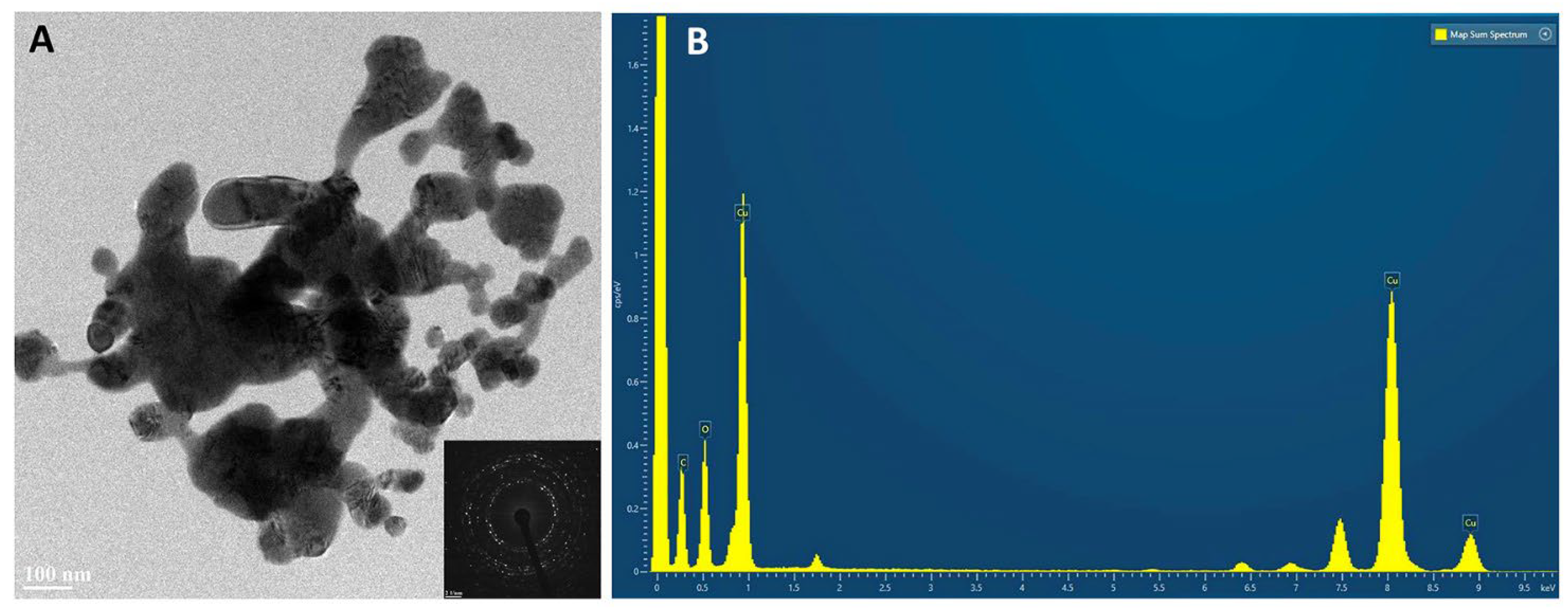 Preprints 108995 g003