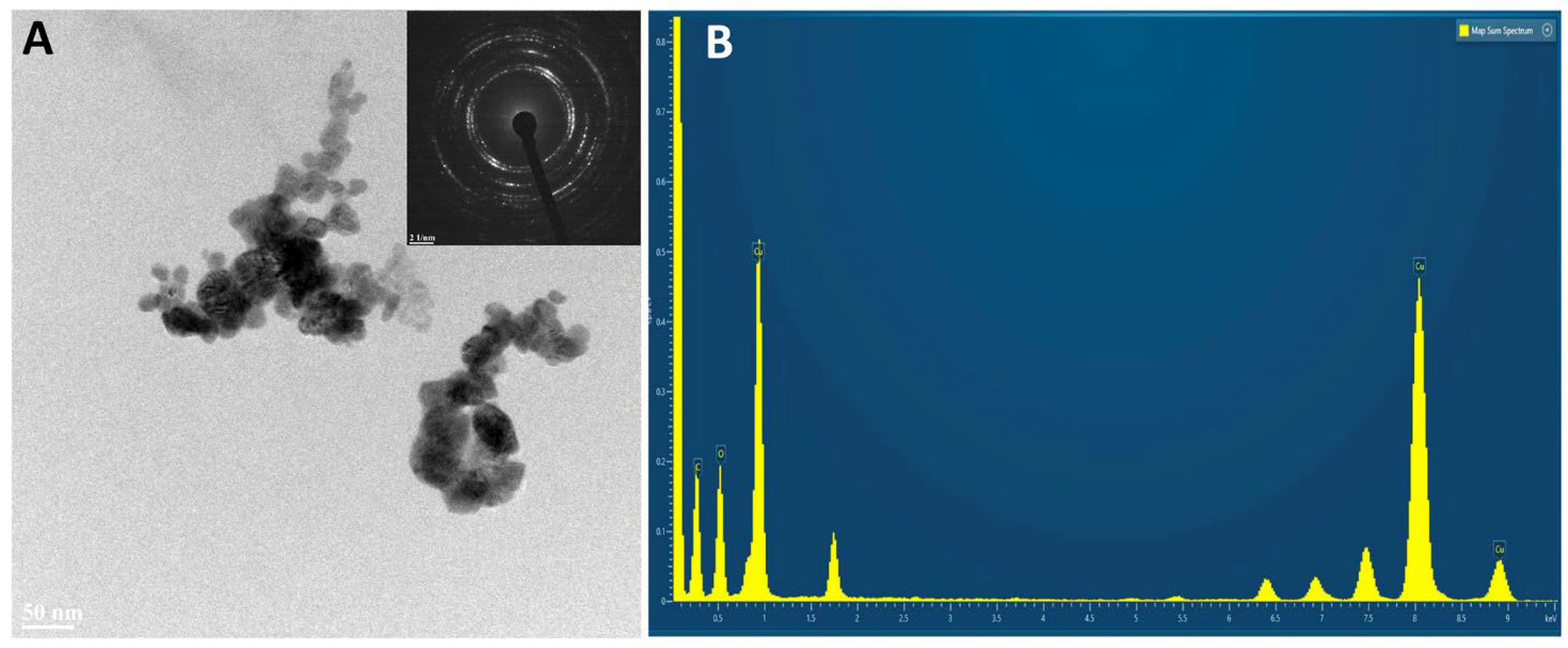 Preprints 108995 g004