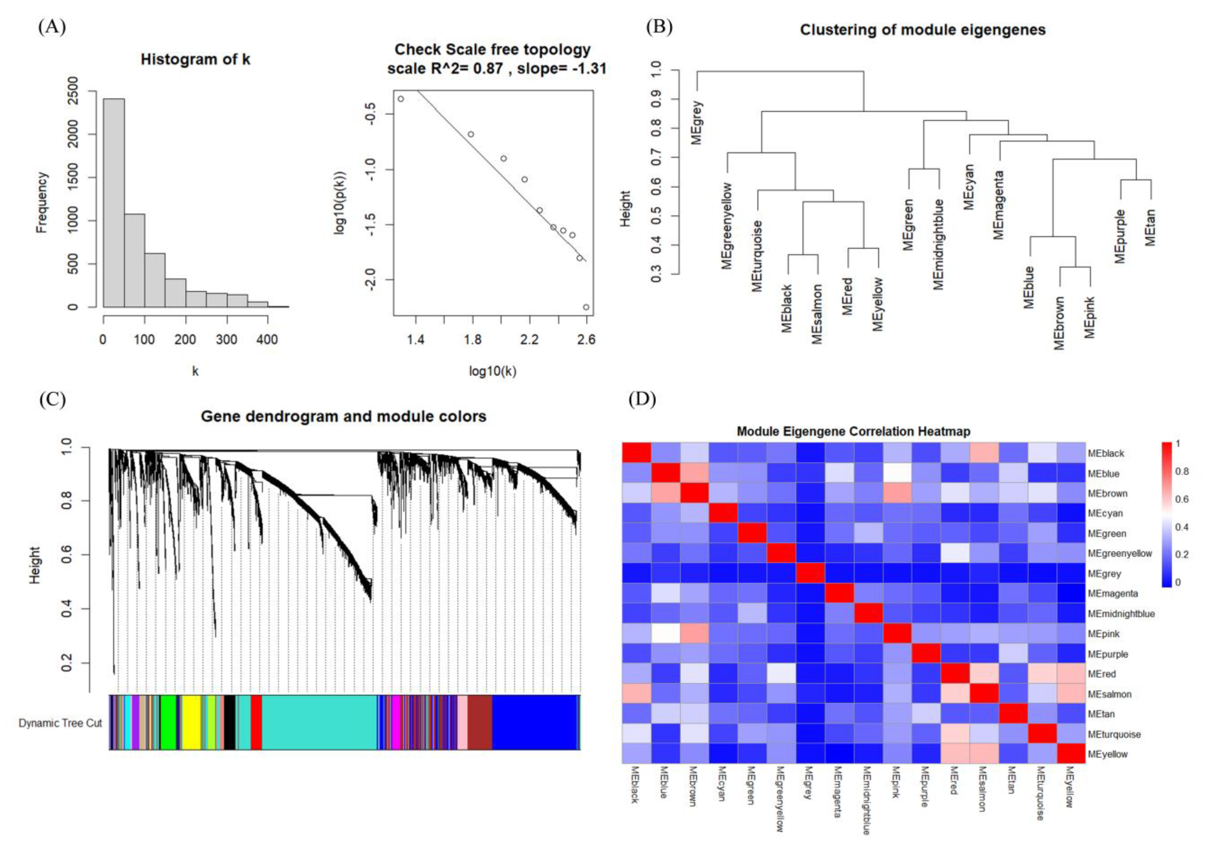 Preprints 115159 g005