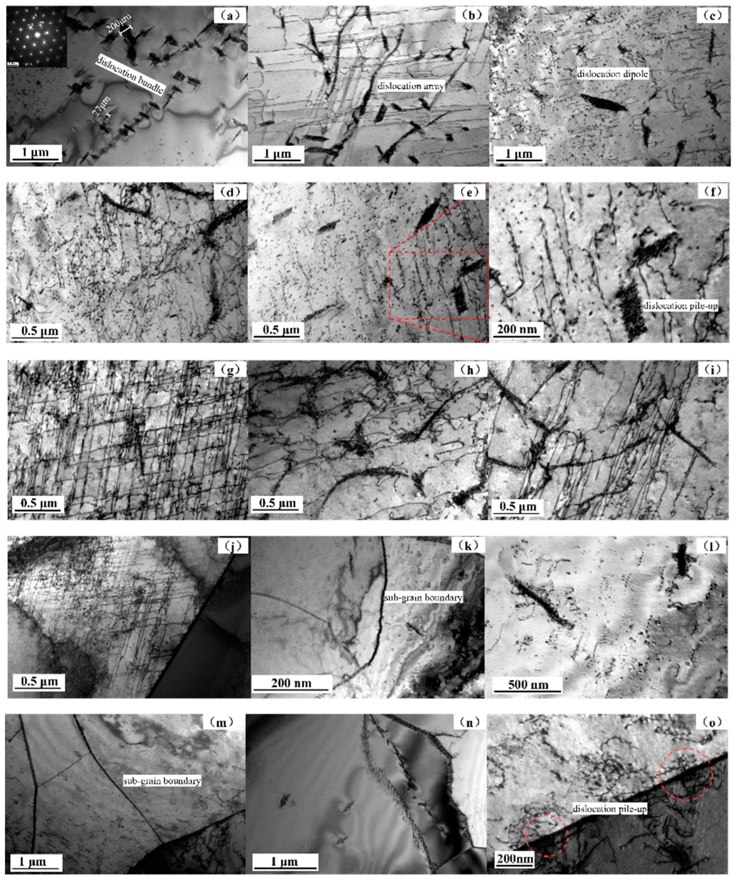 Preprints 106979 g009