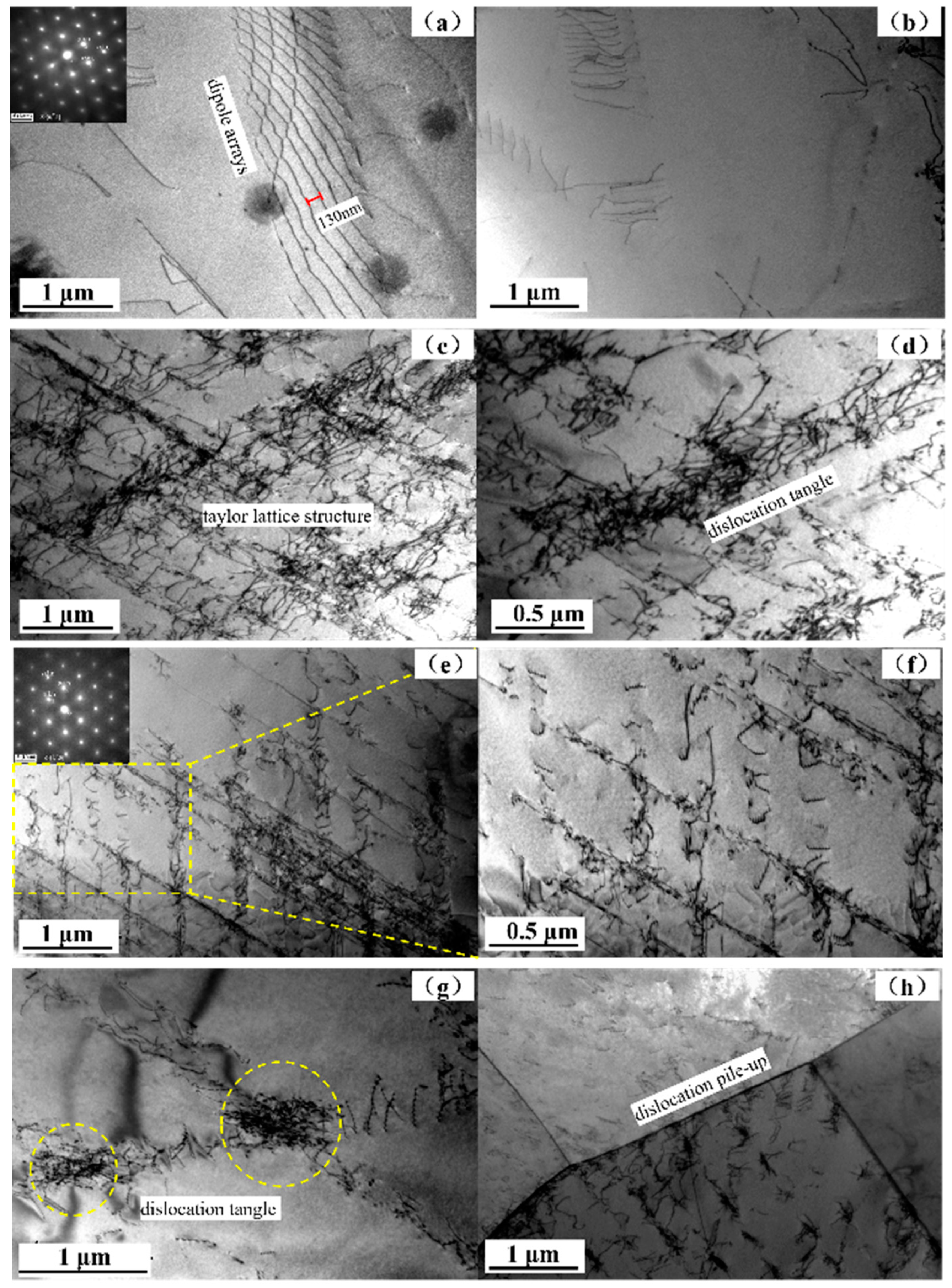 Preprints 106979 g010