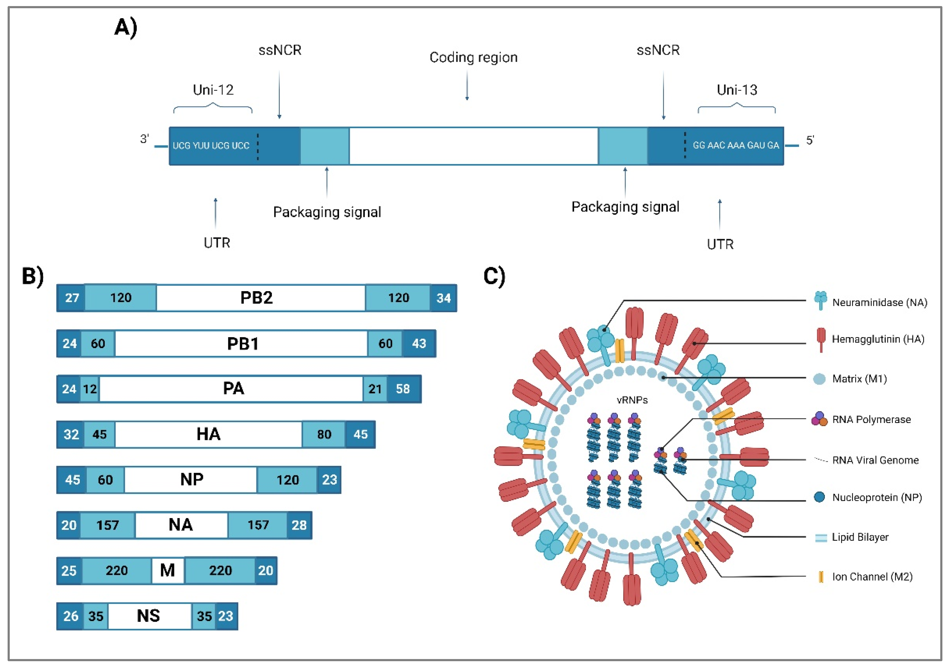 Preprints 68280 g001